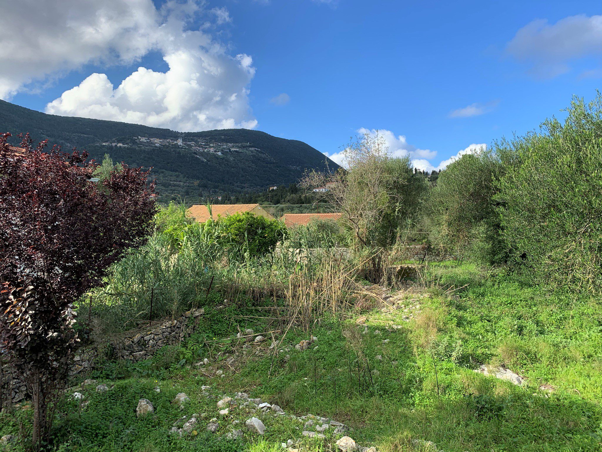 Garden of stone ruin for sale in Ithaca Greece, Lahos