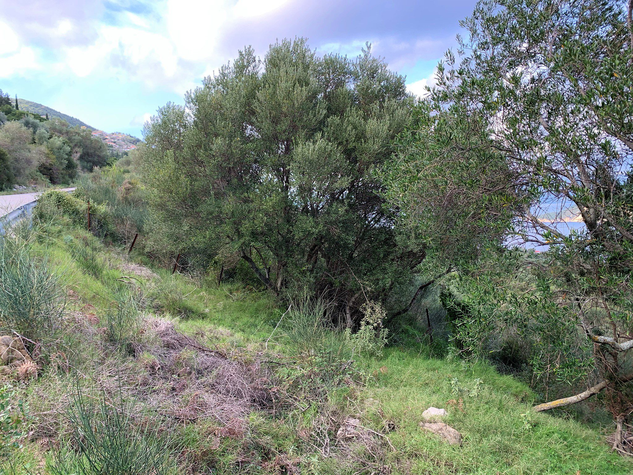 Landscape terrain of land for sale Ithaca Greece Exoghi