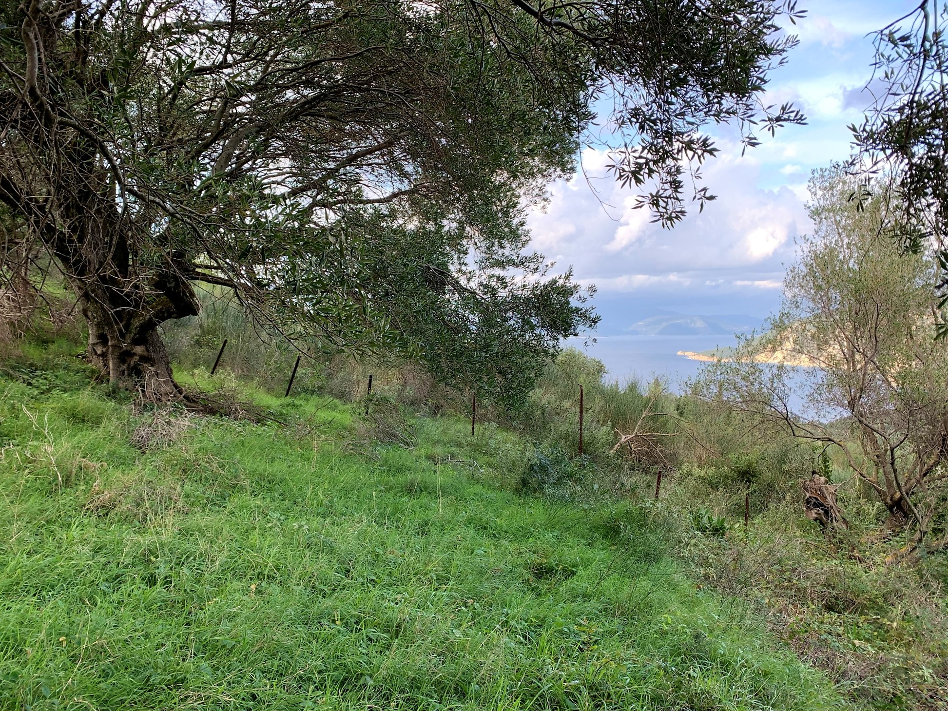Landscape terrain and sea view of land for sale Ithaca Greece Exoghi