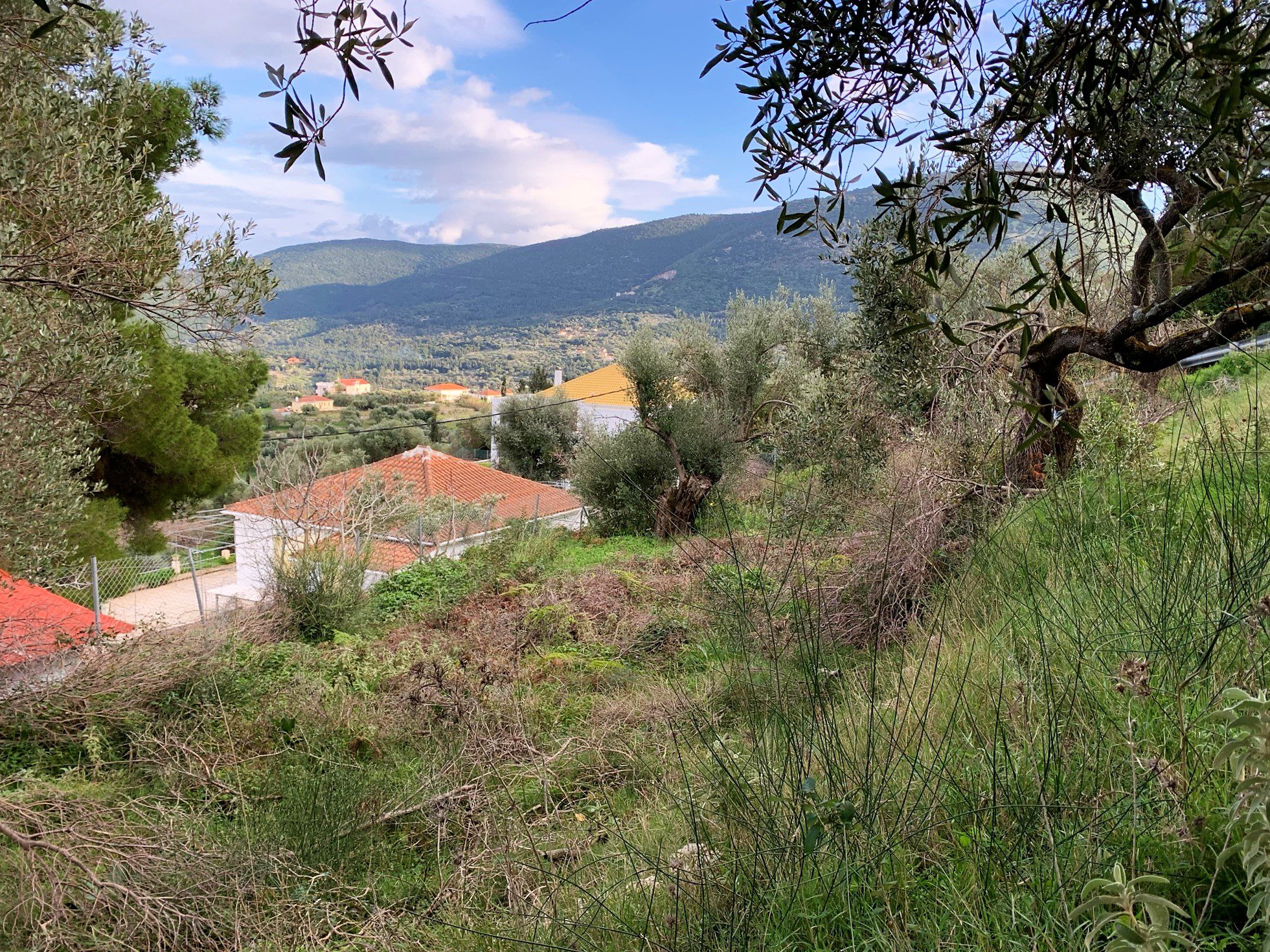 Landscape terrain of land for sale Ithaca Greece Exoghi