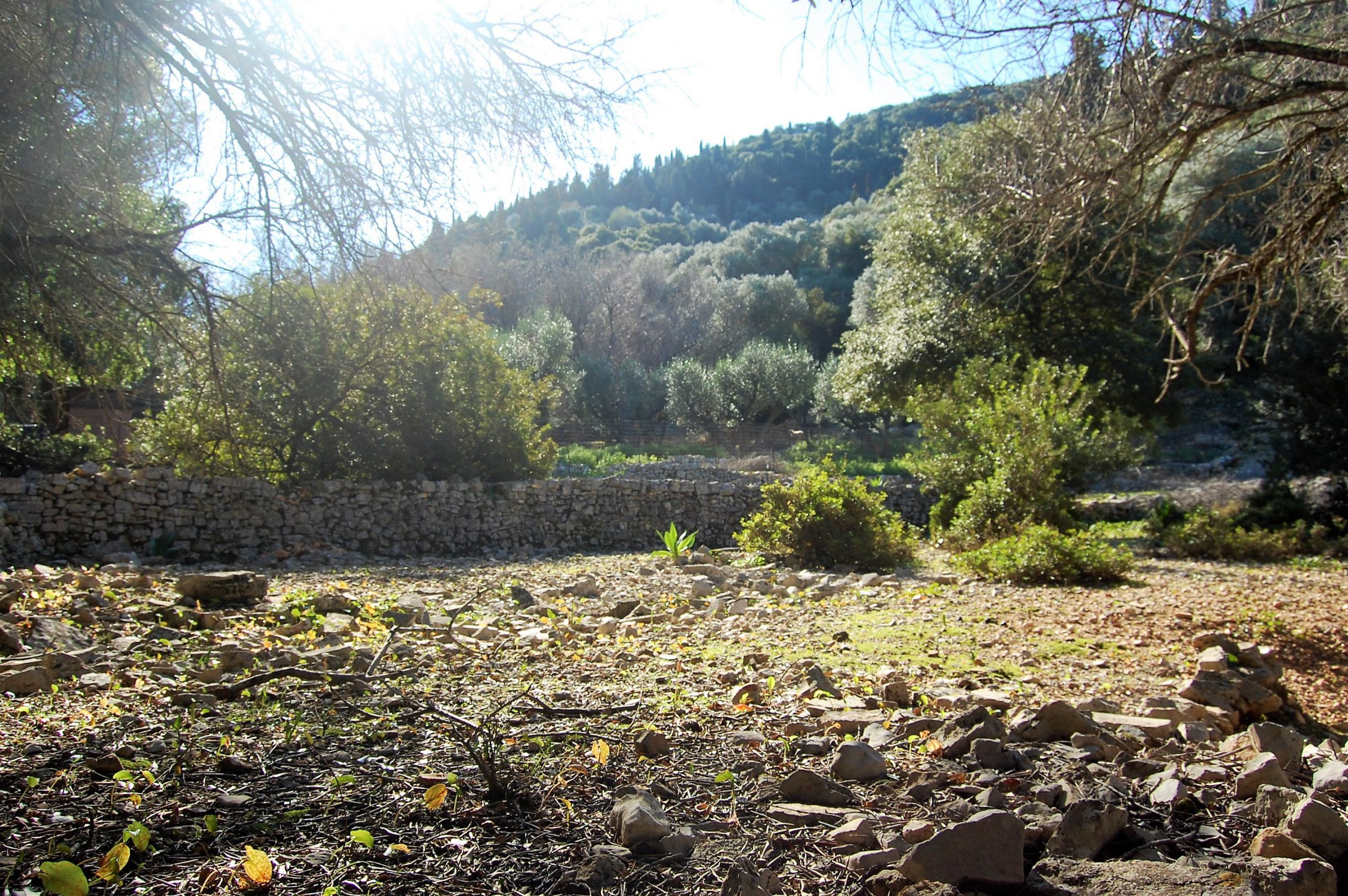 Landscape and terrain of land for sale in Ithaca Greece Kioni