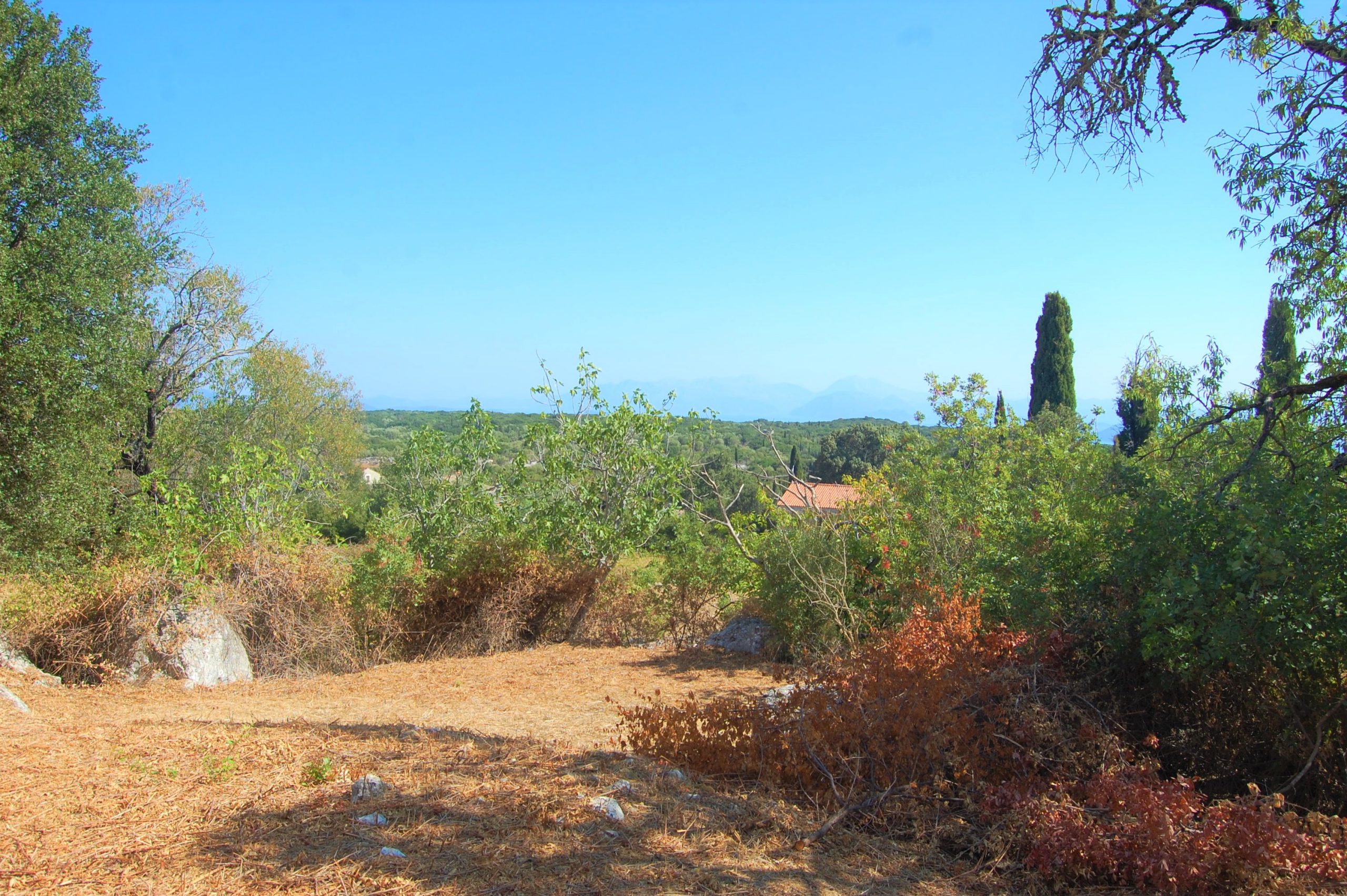 Surrounding land of house for sale Ithaca Greece, Anoghi