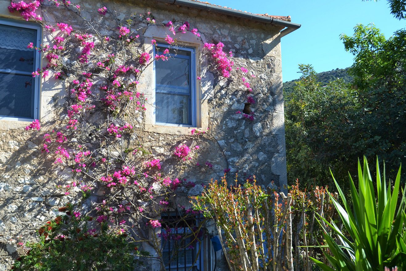Stone exterior and flower detail of house for sale Ithaca Greece, Lahos
