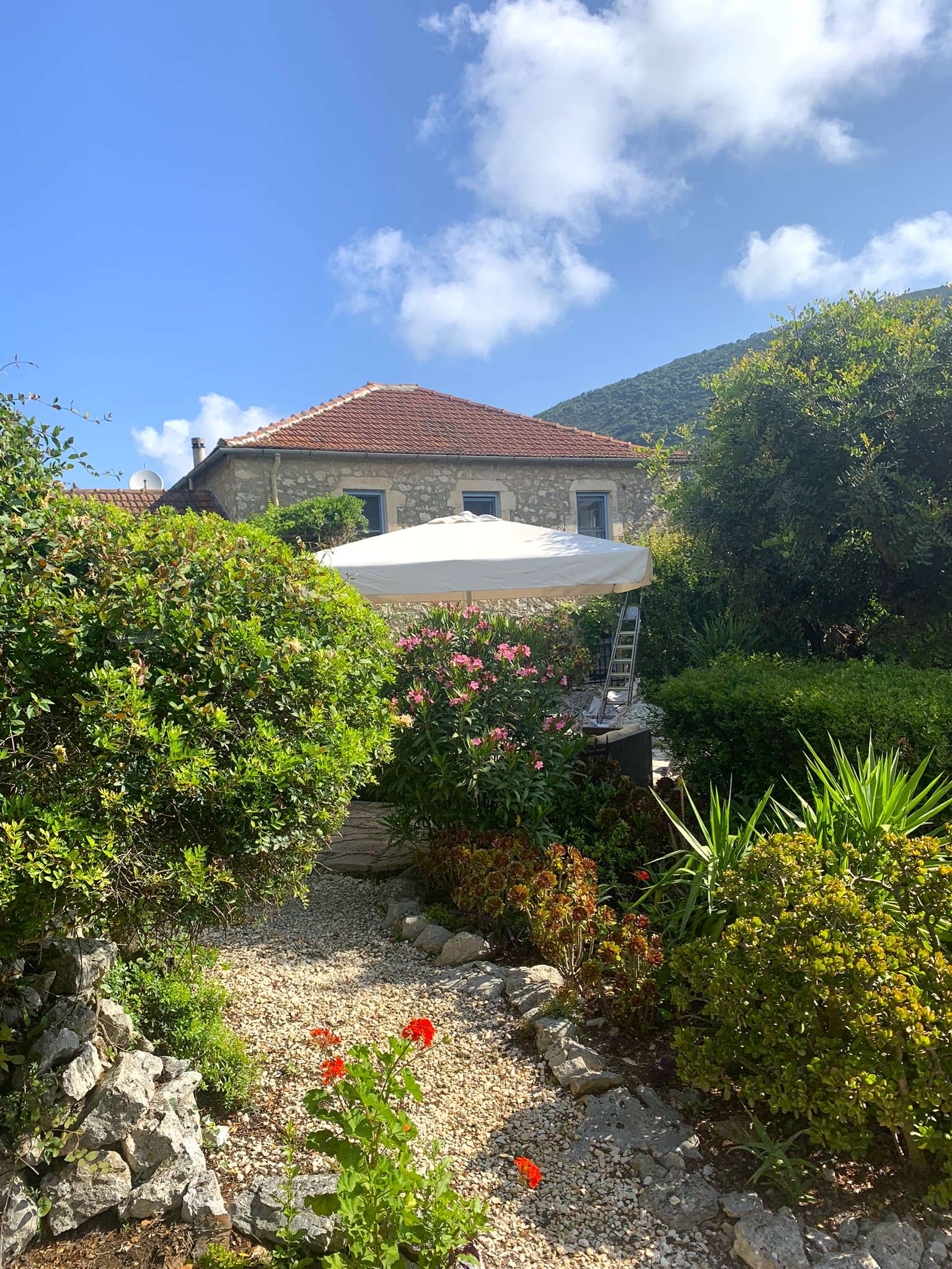 Garden with pathway of house for sale in Ithaca Greece, Lahos