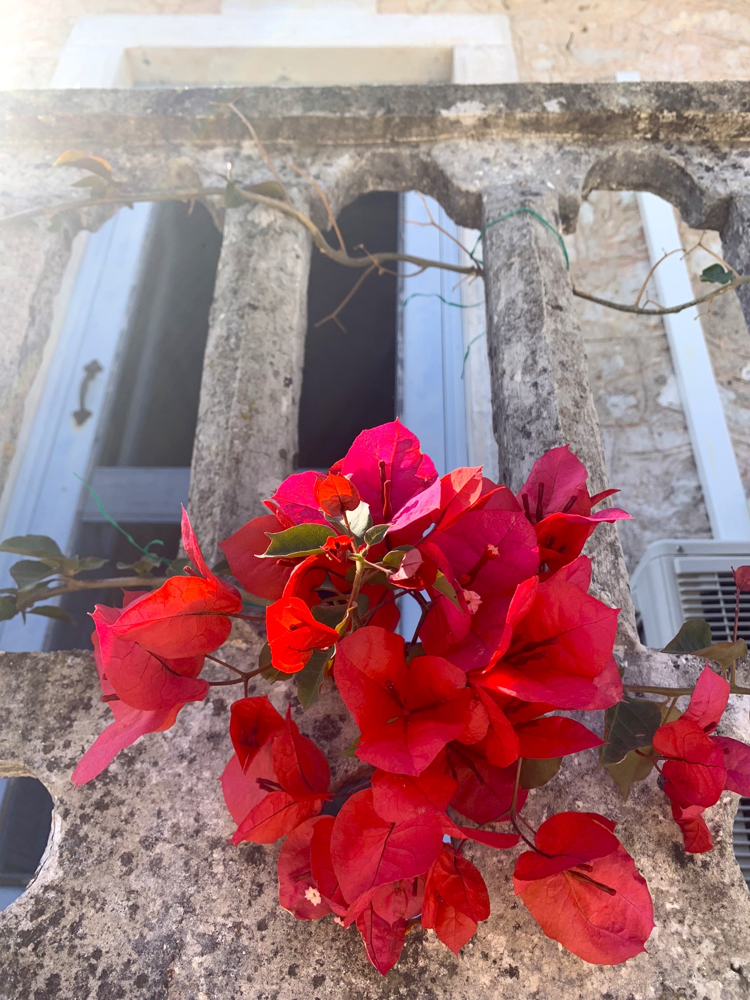 Flowers on the balcony of house for sale in Ithaca Greece, Lahos