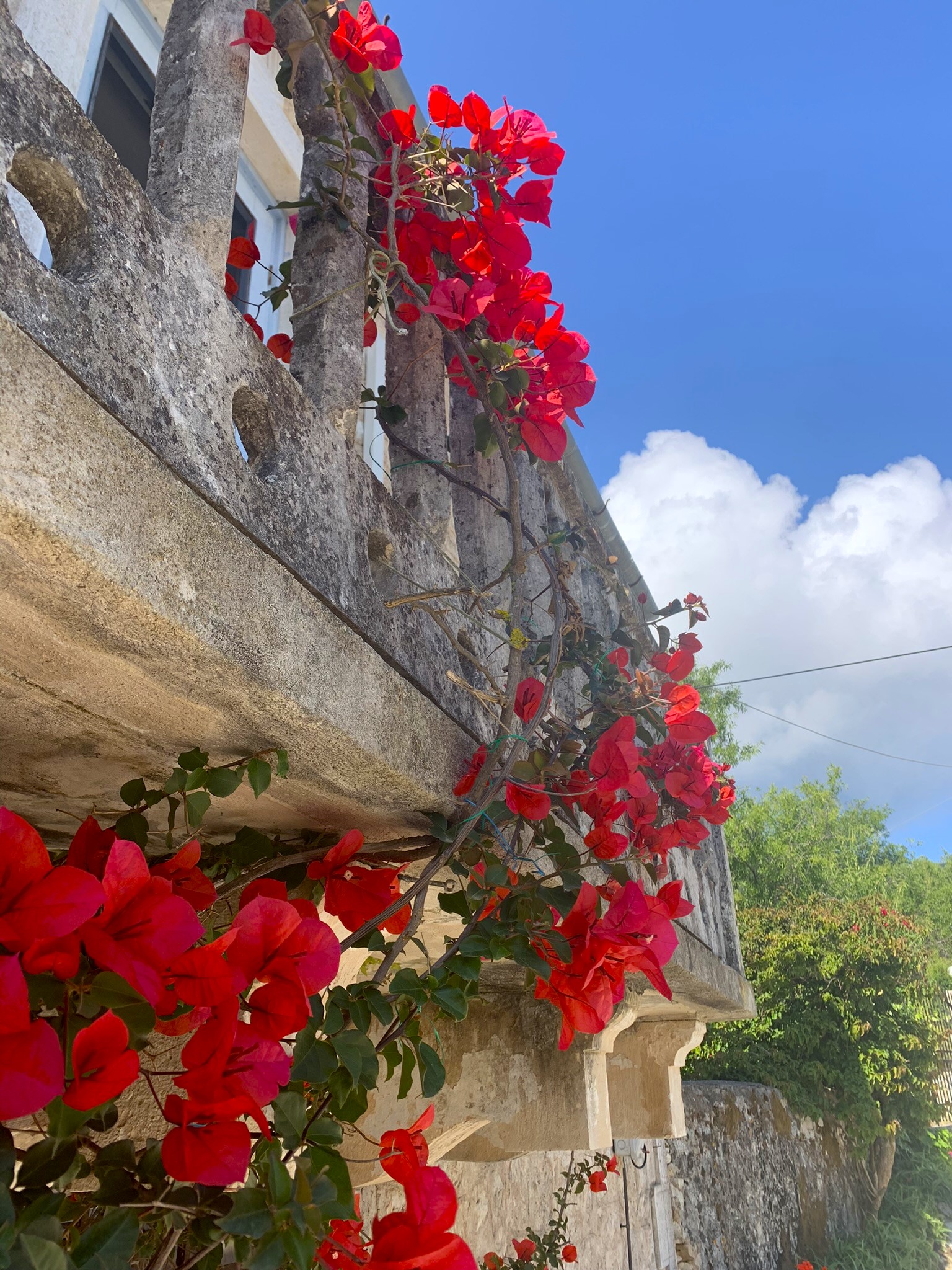 Flower detail on the balcony of house for sale in Ithaca Greece, Lahos