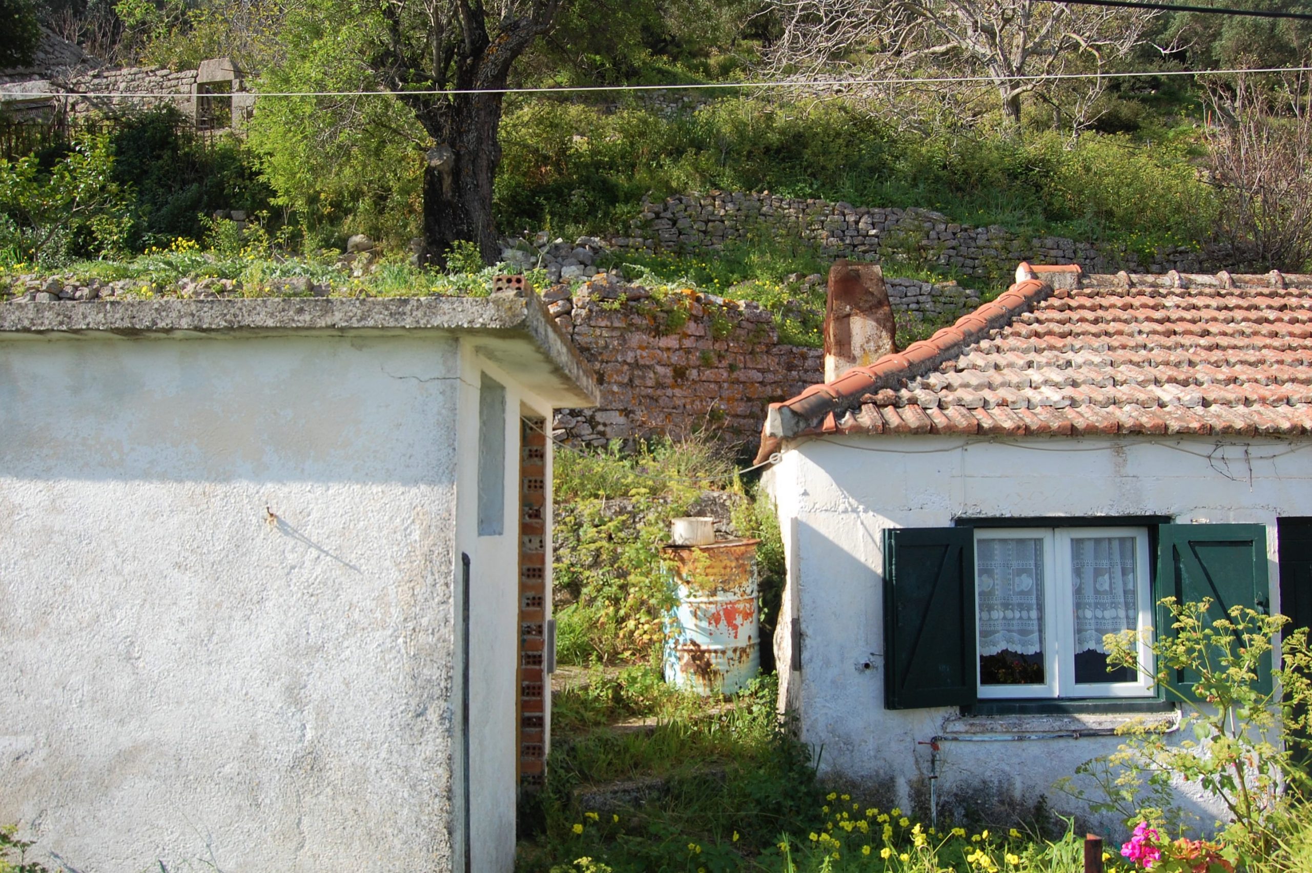 Εξωτερική πρόσοψη κατοικίας προς πώληση στην Ιθάκα Ελλάδας, Ράχη
