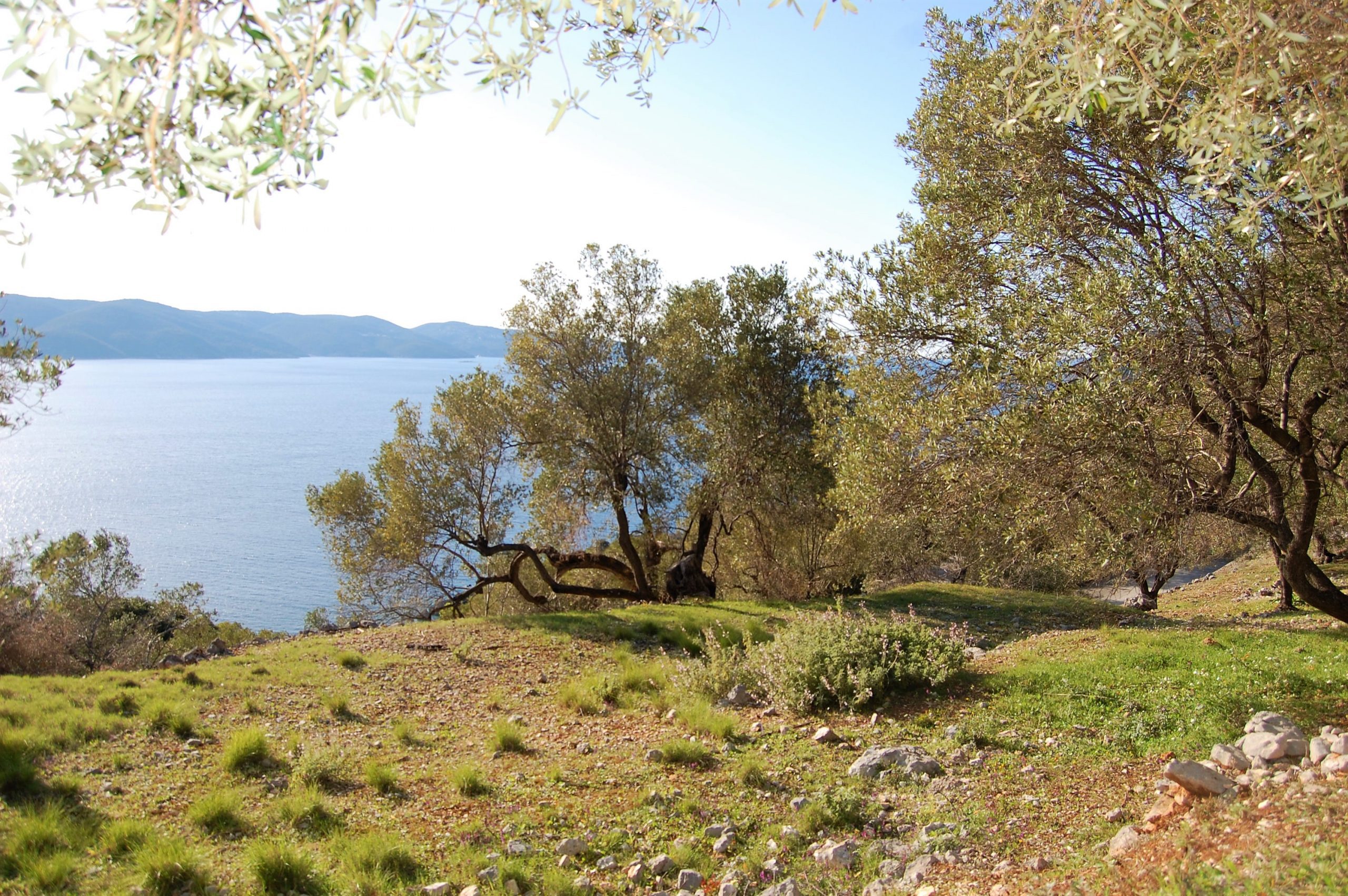 Sea view from land for sale in Ithaca Greece, Ag. Ioannis