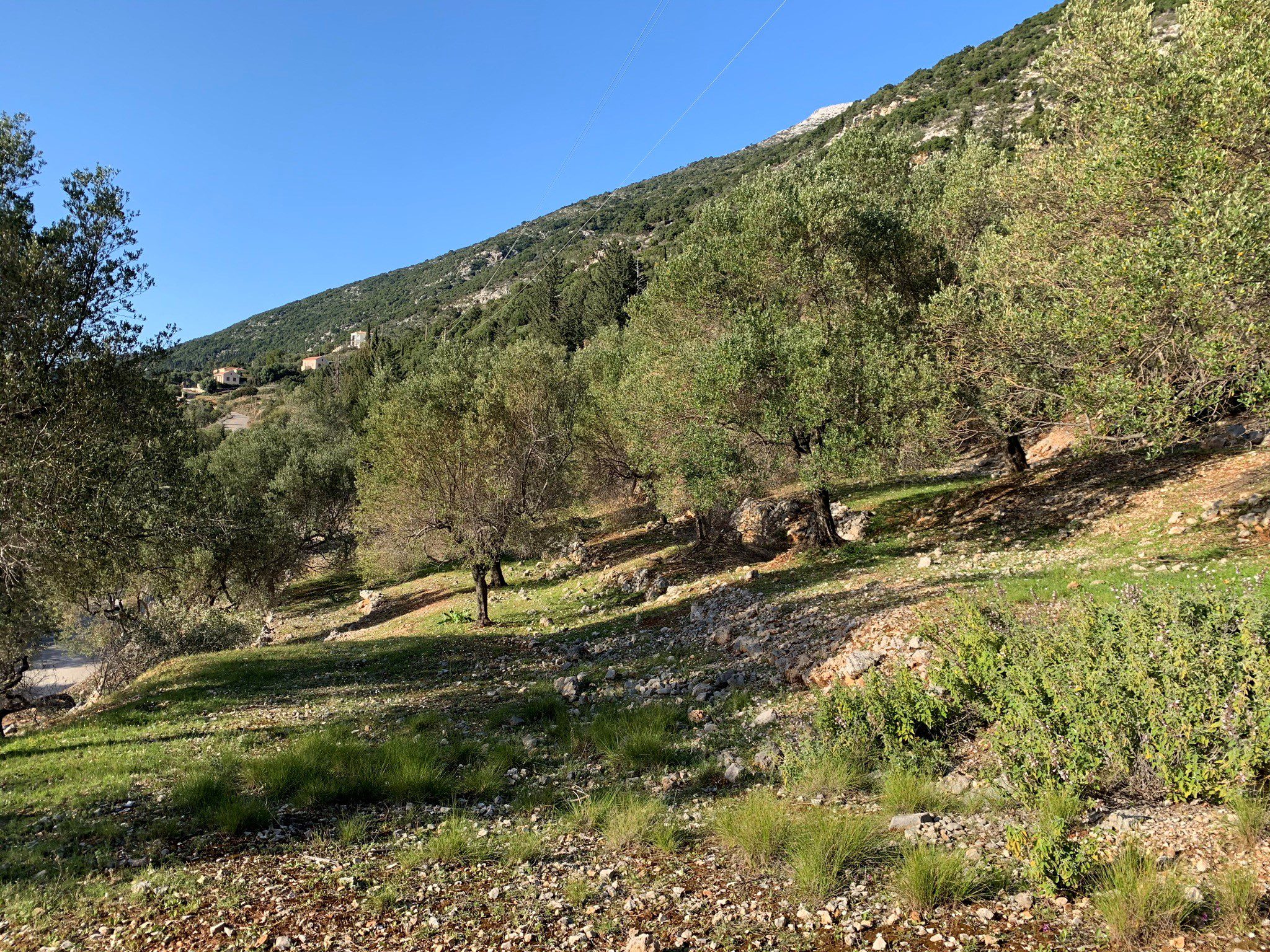Landscape and terrain of land for sale in Ithaca Greece, Ag Ioannis