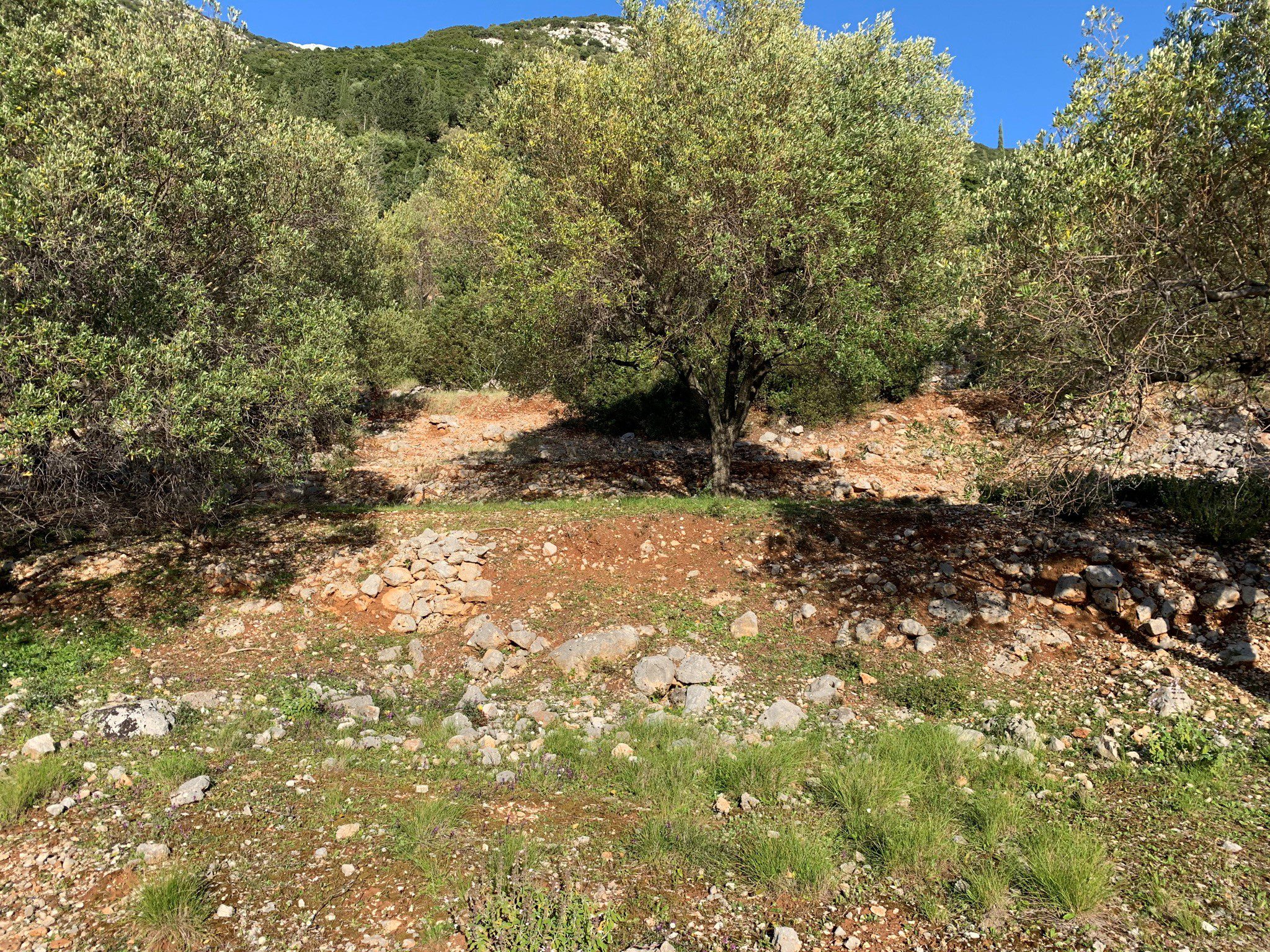 Landscape and terrain of land for sale in Ithaca Greece, Ag Ioannis
