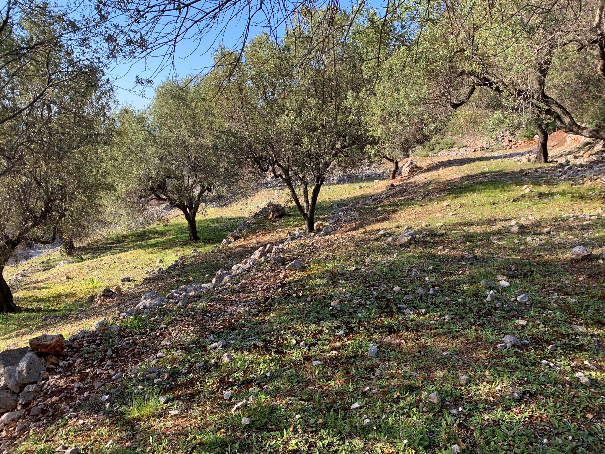 Landscape and terrain of land for sale in Ithaca Greece, Ag Ioannis