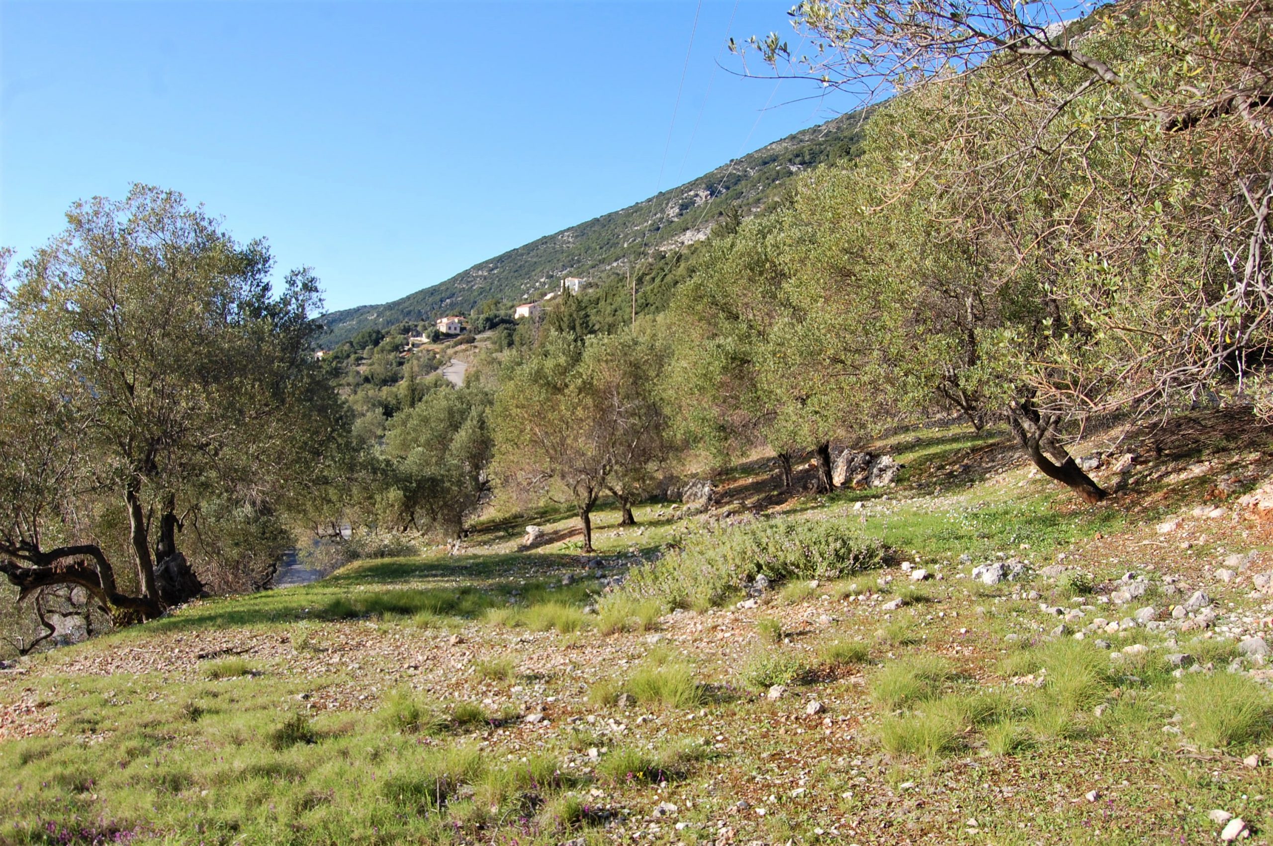 Landscape and terrain of land for sale in Ithaca Greece, Ag Ioannis