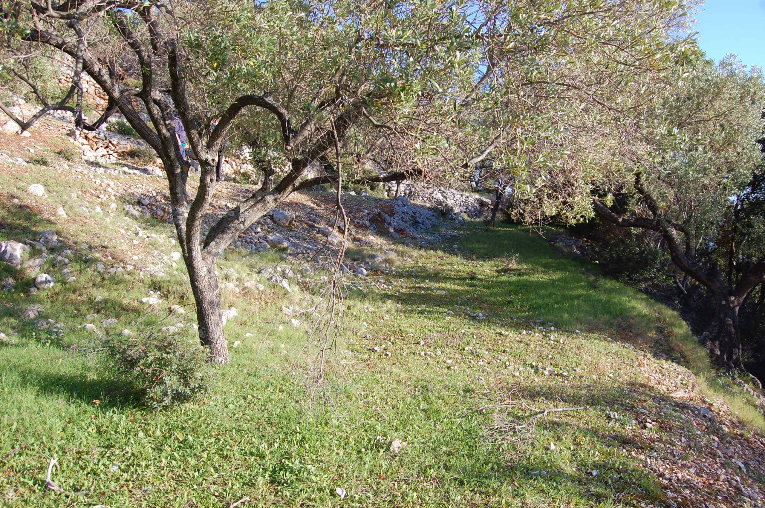 Landscape and terrain of land for sale in Ithaca Greece, Ag Ioannis