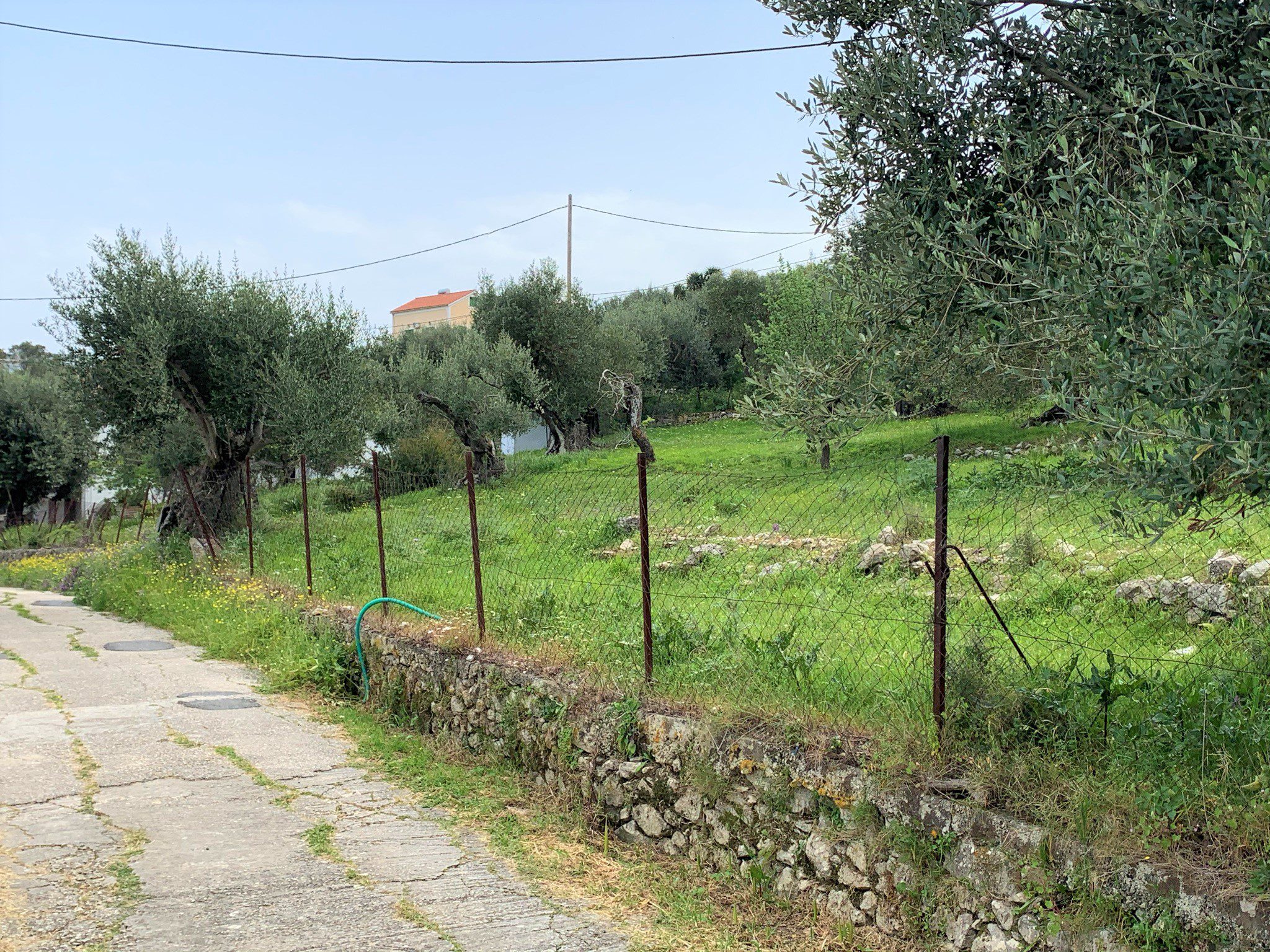 Road access of land for sale in Ithaca Greece, Kolleri