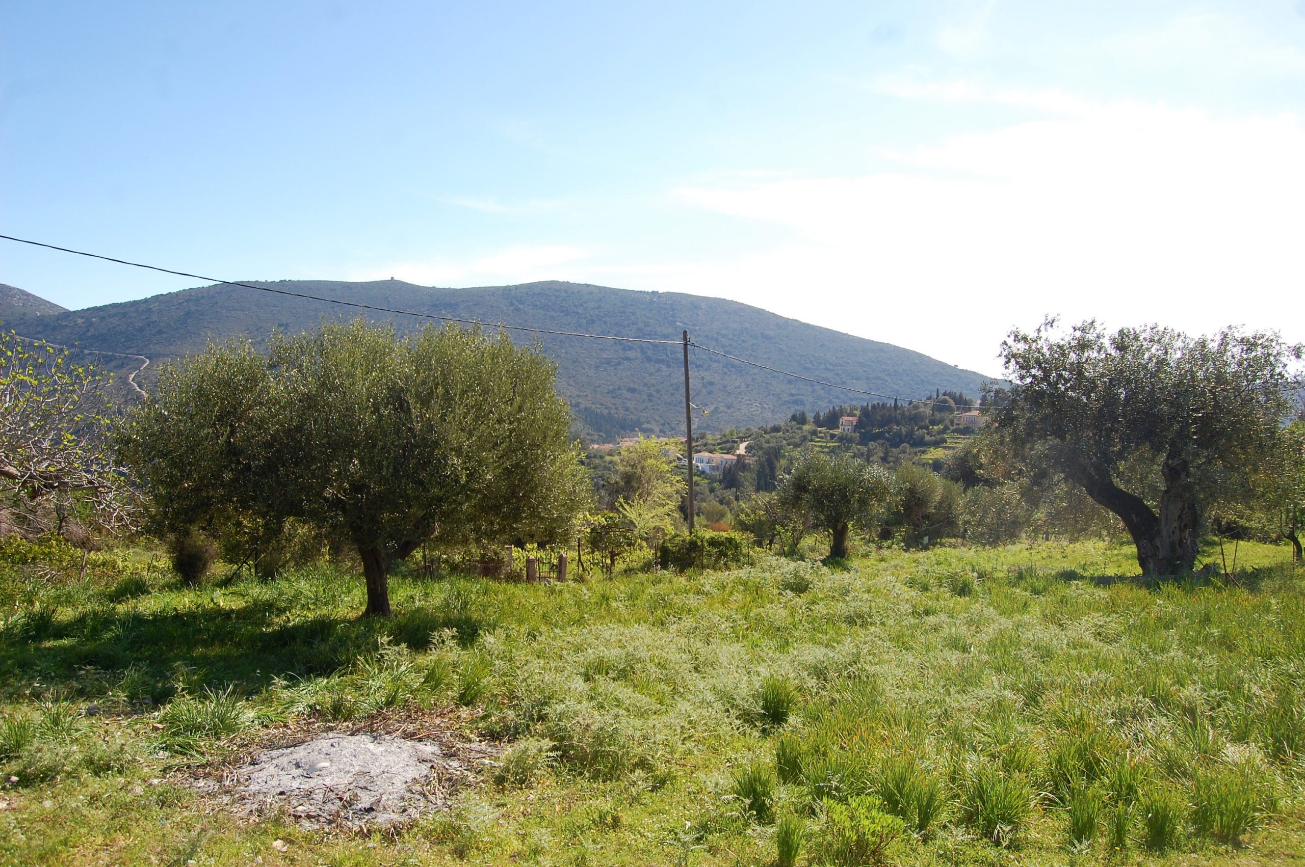 Landscape and terrain of land for sale in Ithaca Greece, Kolleri