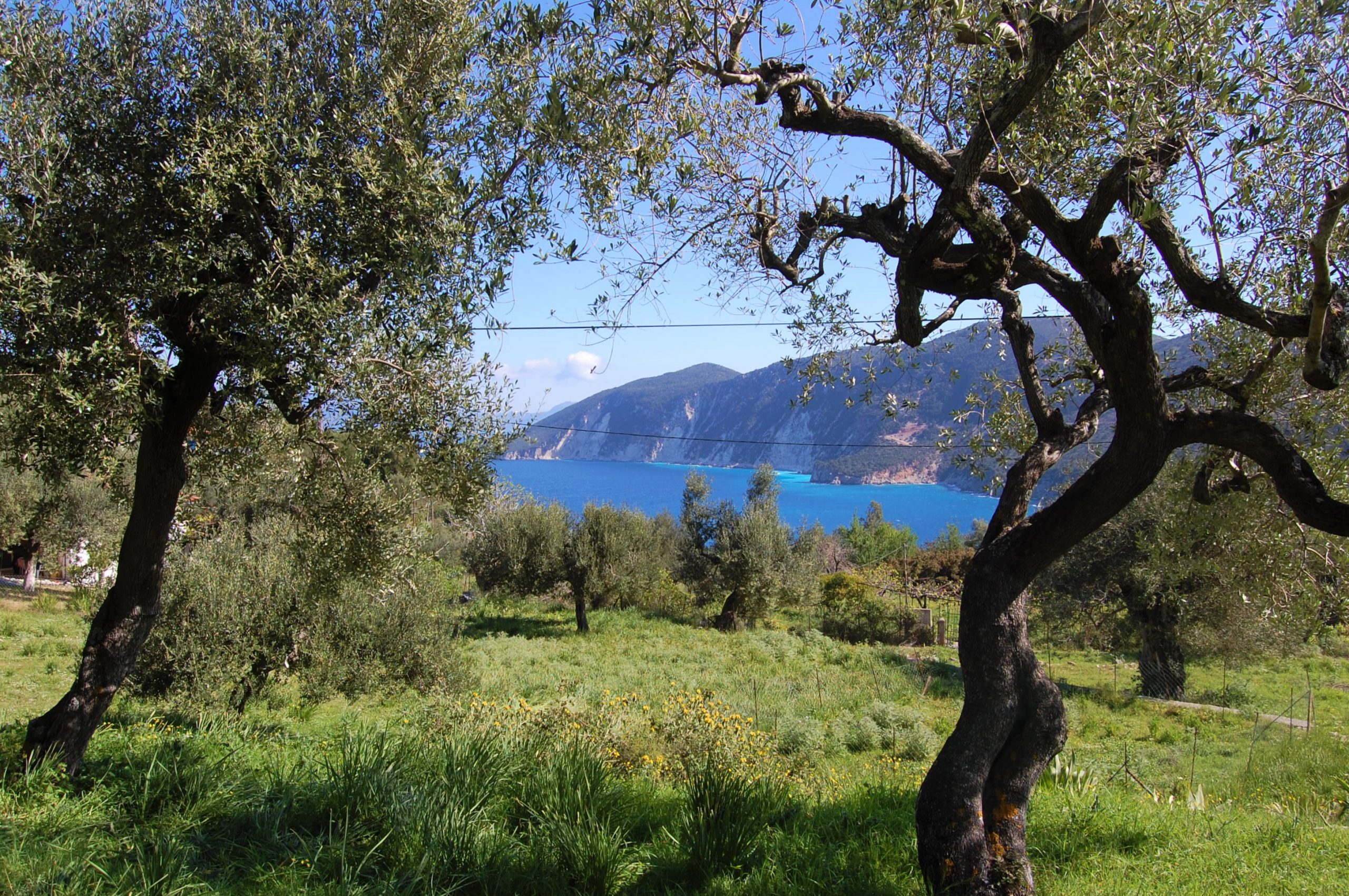 Θέα στη θάλασσα από γη προς πώληση στην Ιθάκα της Ελλάδας, Κολλιερή