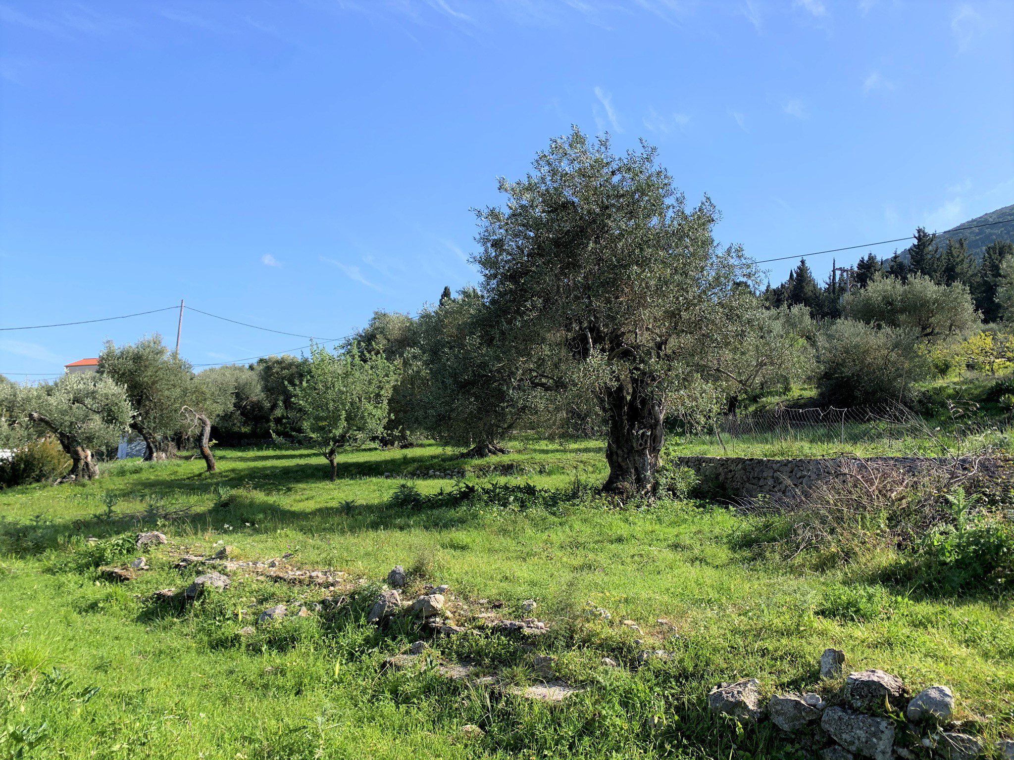 Landscape and terrain of land for sale in Ithaca Greece, Kolleri