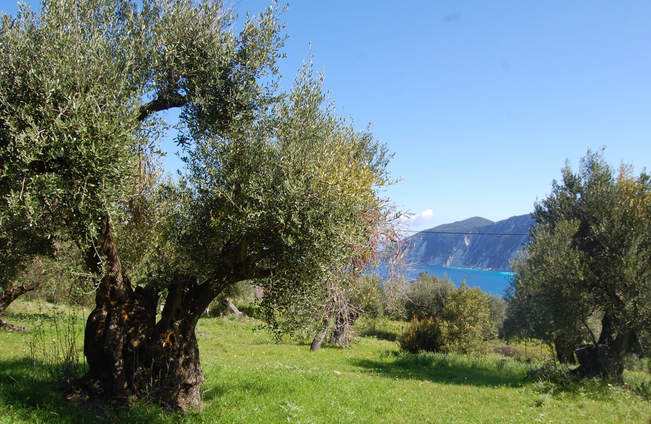Sea view from land for sale in Ithaca Greece, Kolleri