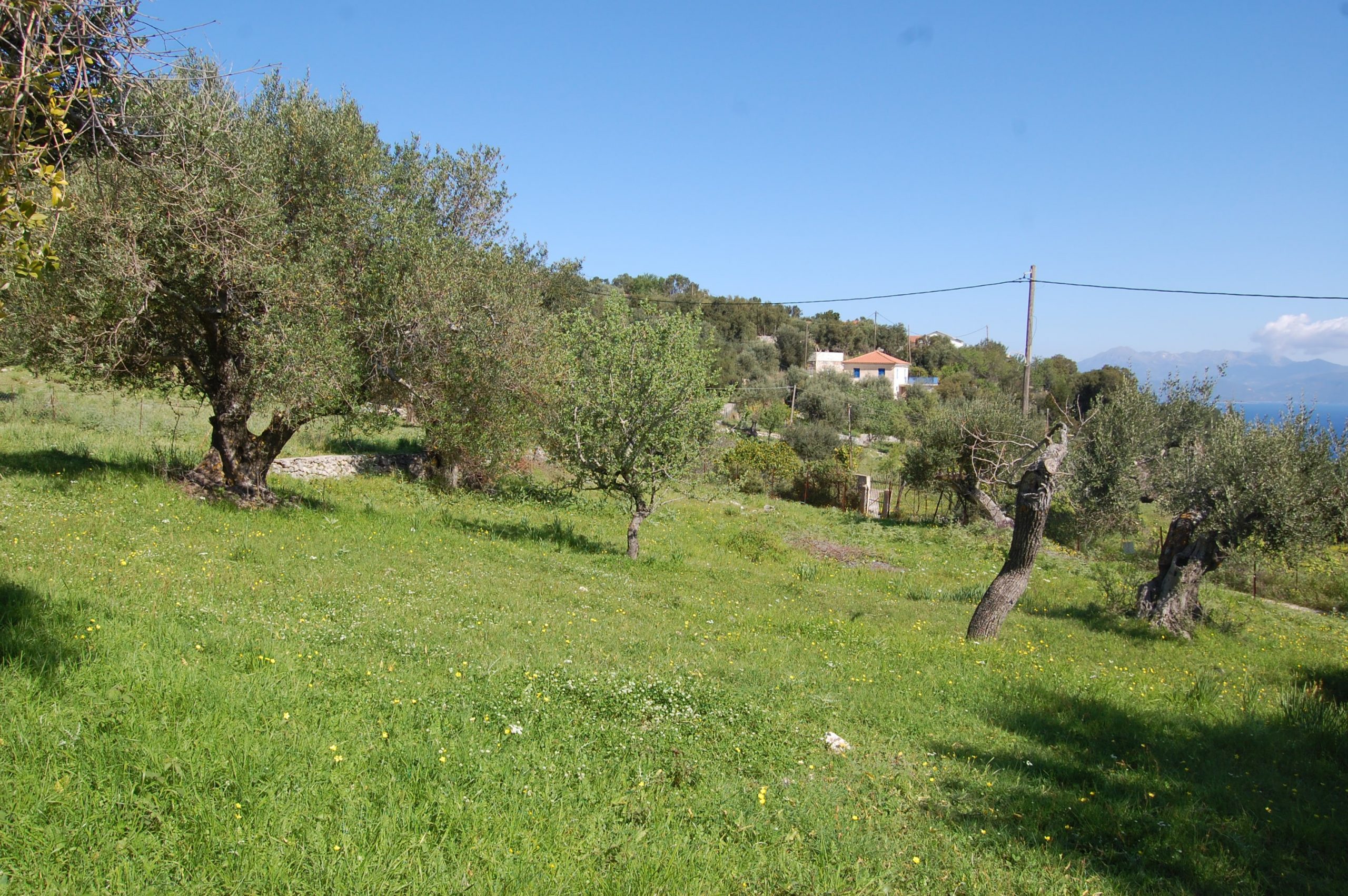 Τοπίο και έδαφος γης προς πώληση στην Ιθάκα Της Ελλάδας, Κολλιερή