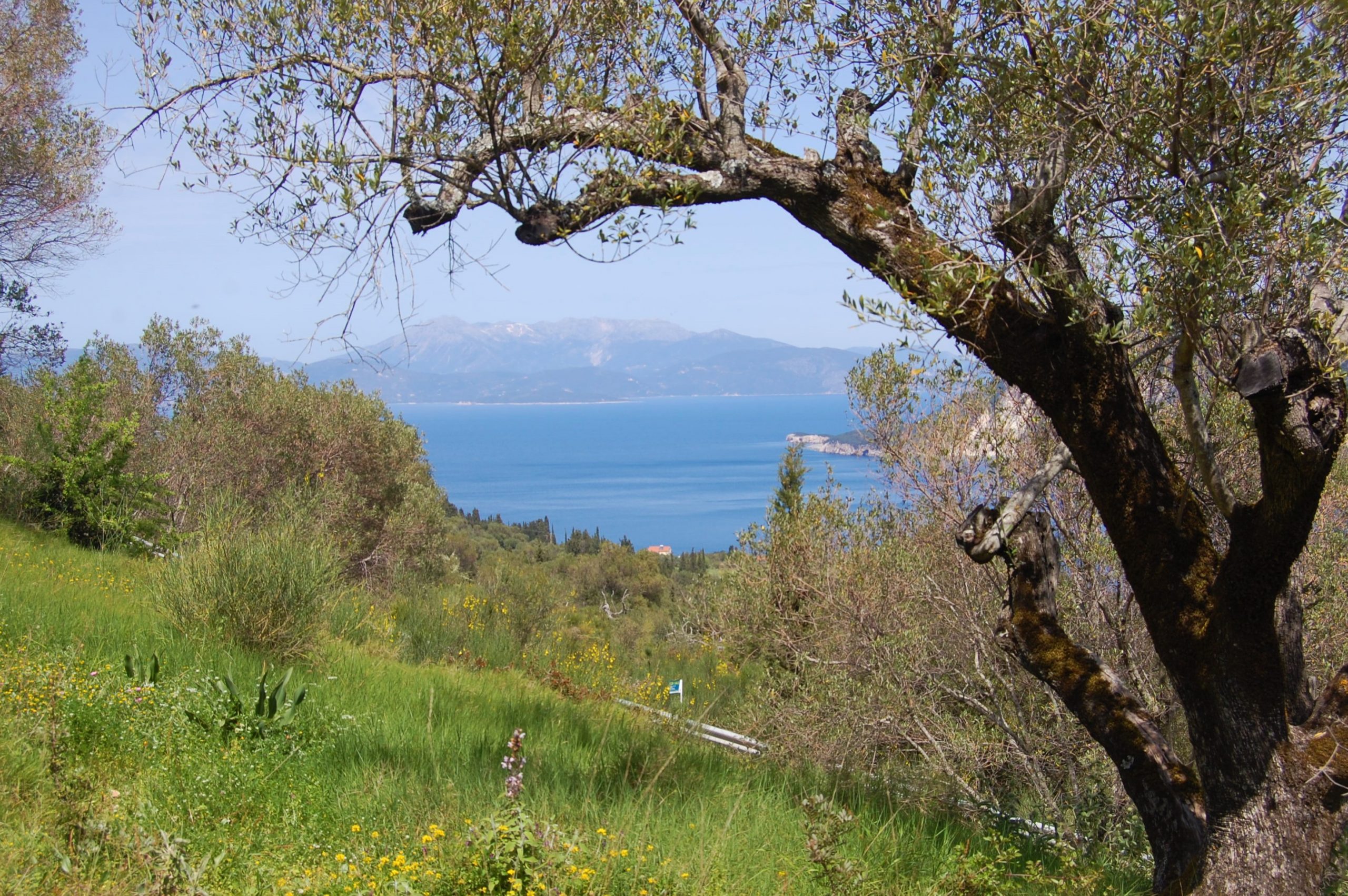 Sea view of land for sale in Ithaca Greece, Exoghi