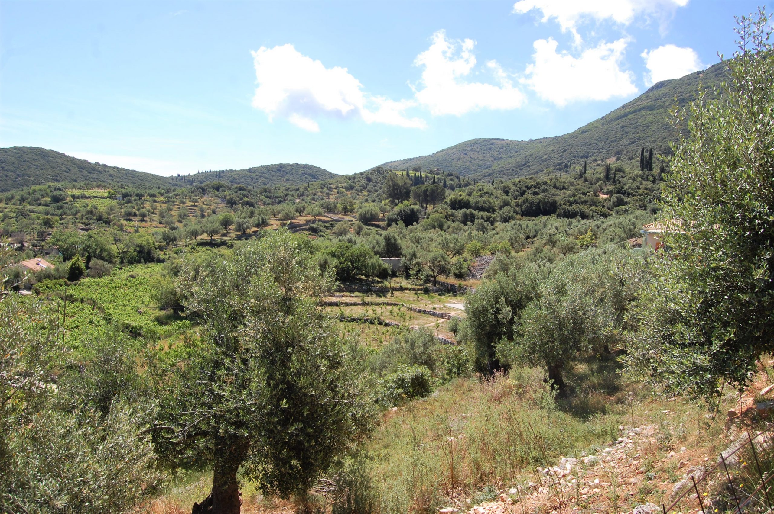 Land for Sale Ithaca Greece Perachori