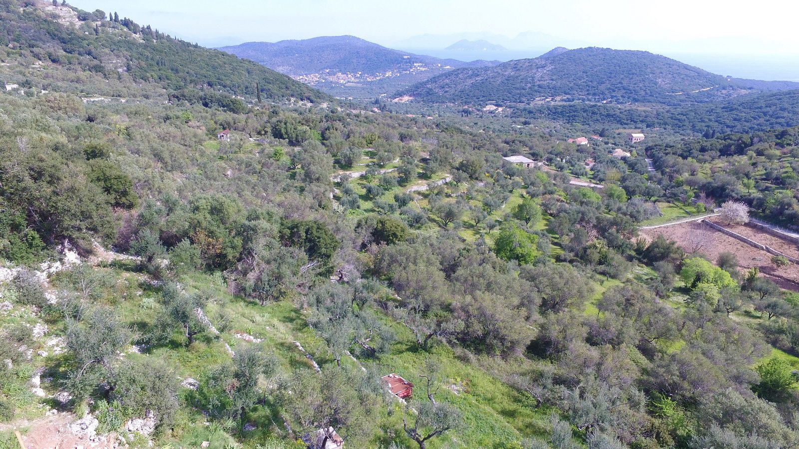 Aerial view of land with license for sale in Ithaca Greece, Perachori