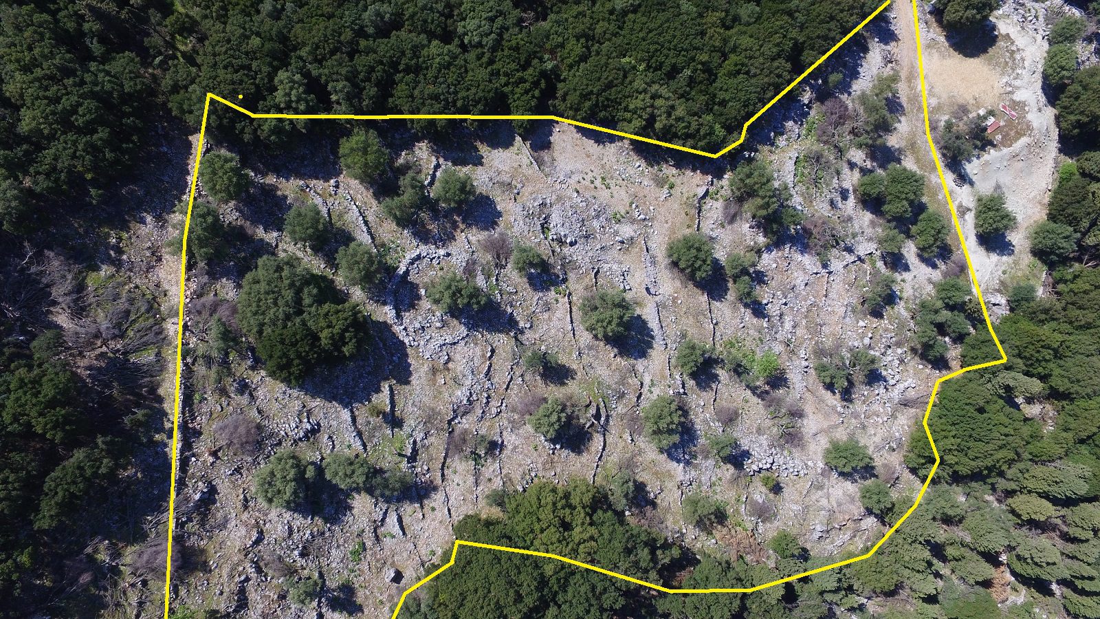 Aerial view and border of land for sale Ithaca Greece, Stavros