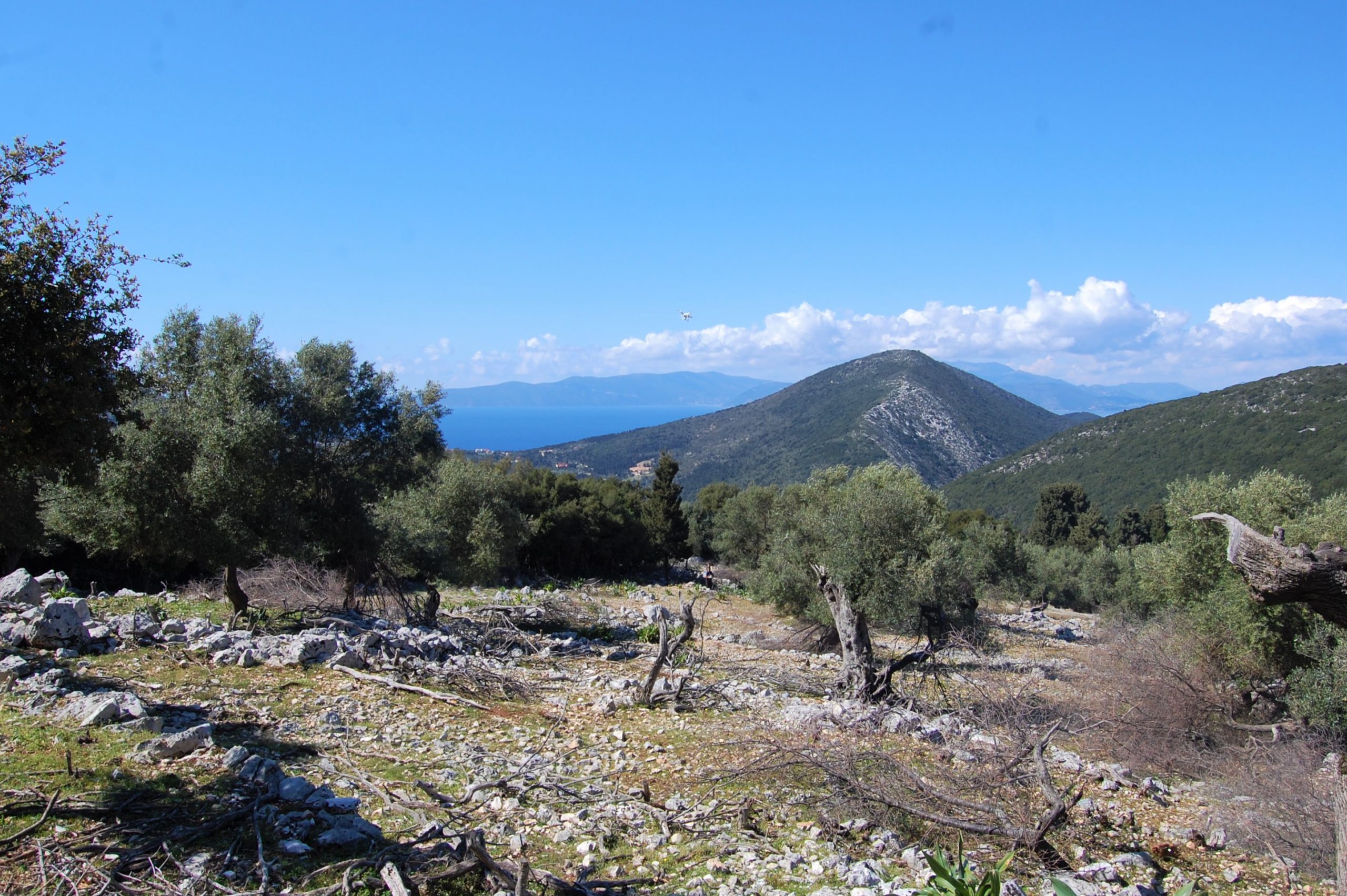 Landscape and Sea view of land for sale in Ithaca Greece, Stavros