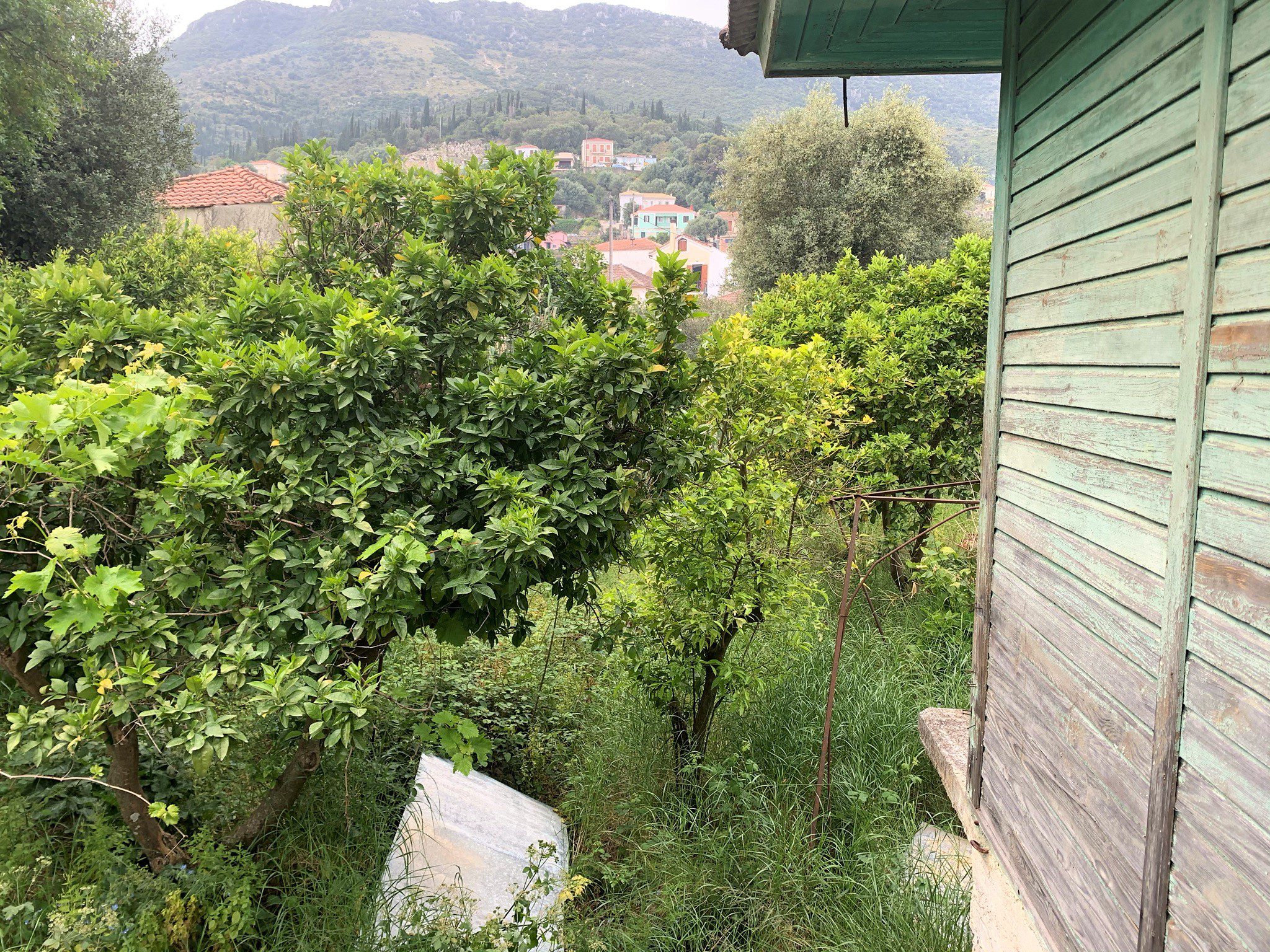 Garden of house for sale in Ithaca Greece Vathi
