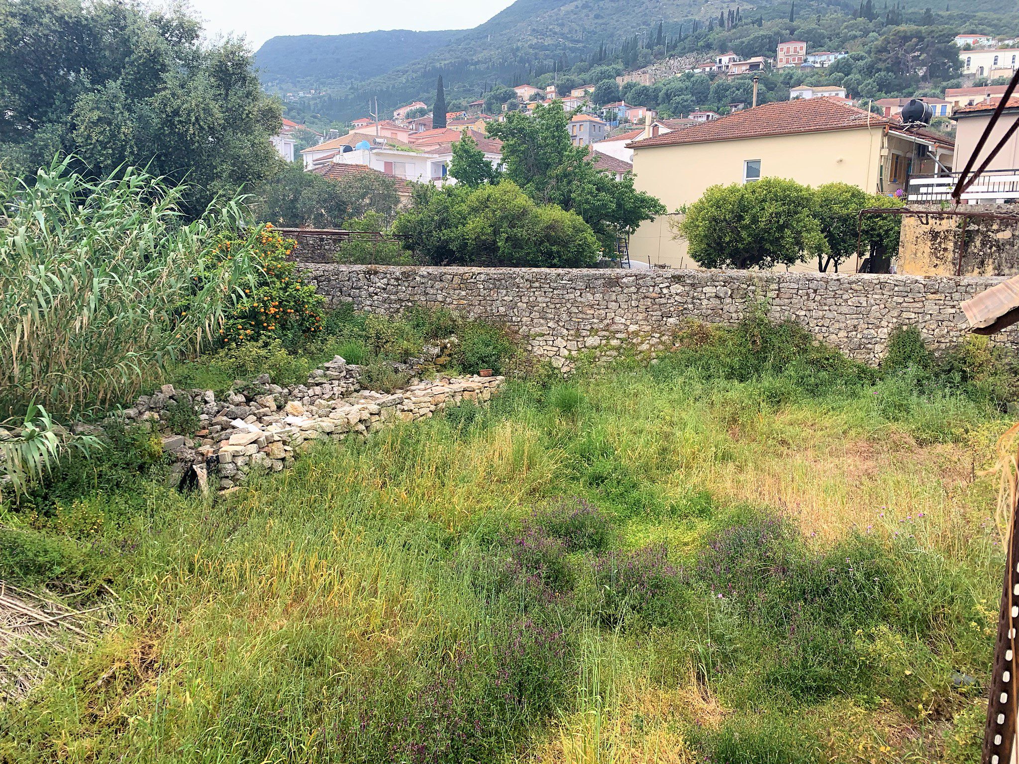 Garden of house for sale in Ithaca Greece Vathi