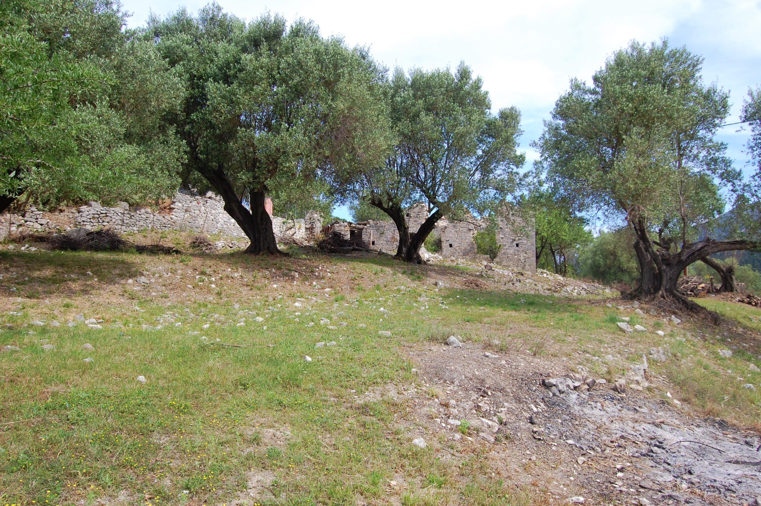 Landscape and terrain of land for sale in Ithaca Greece, Ag Saranda