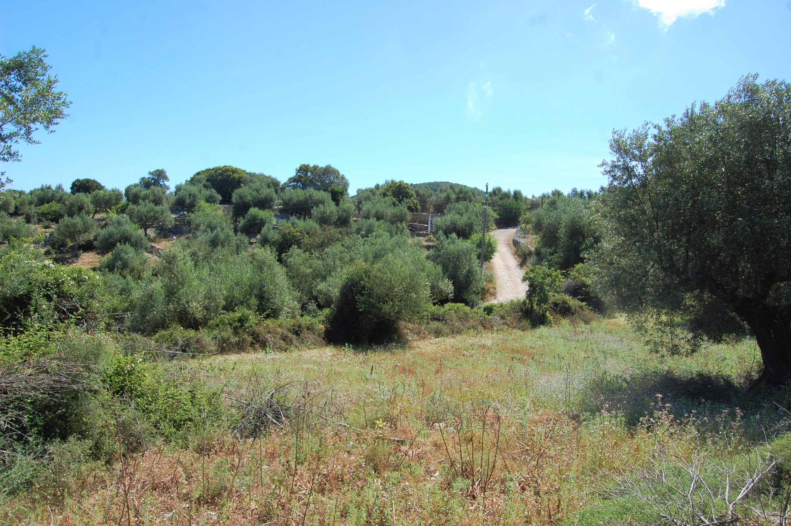 Landscape of land for sale on Ithaca Greece, Vathi