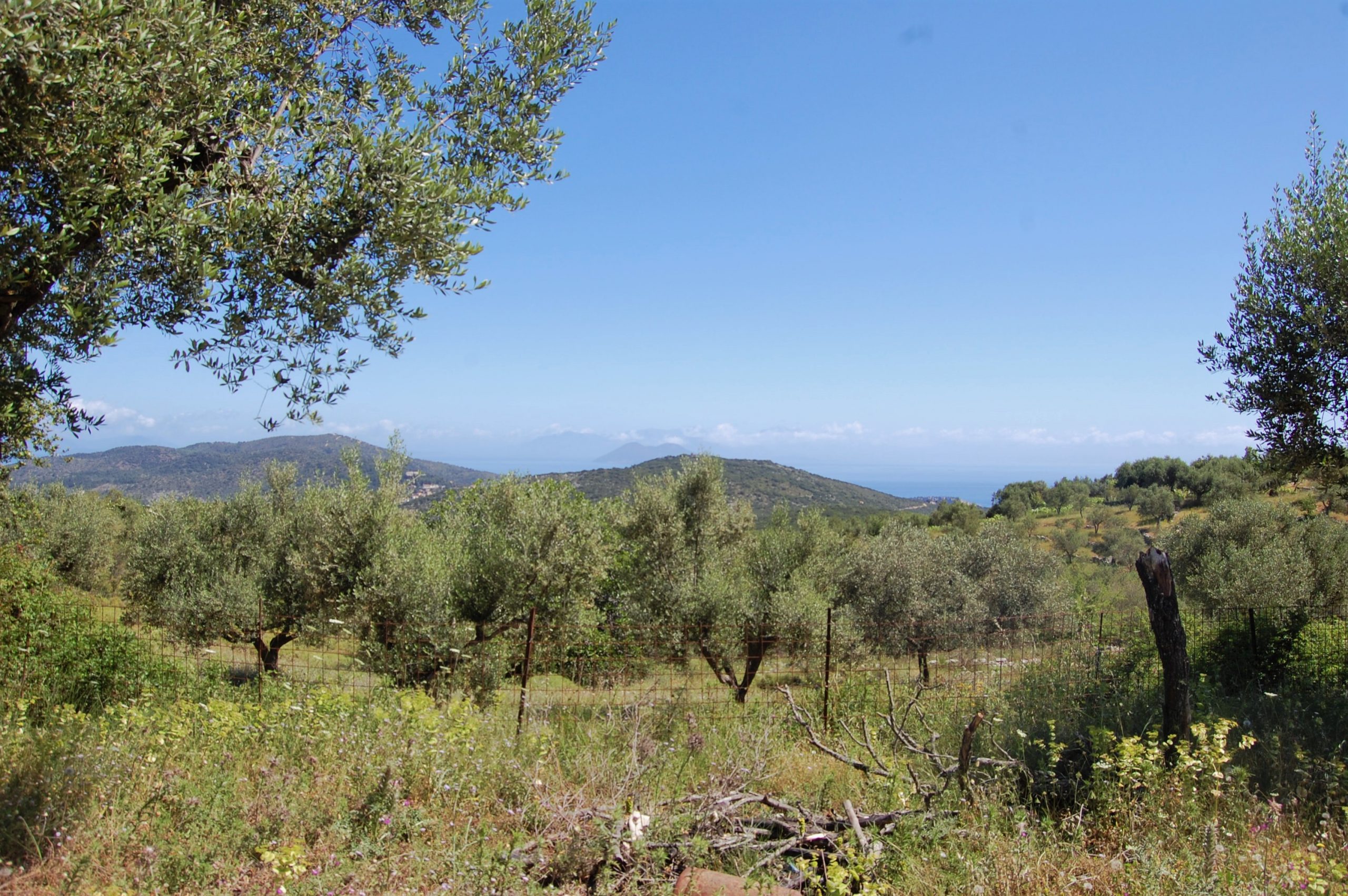 Landscape of land for sale on Ithaca Greece, Vathi