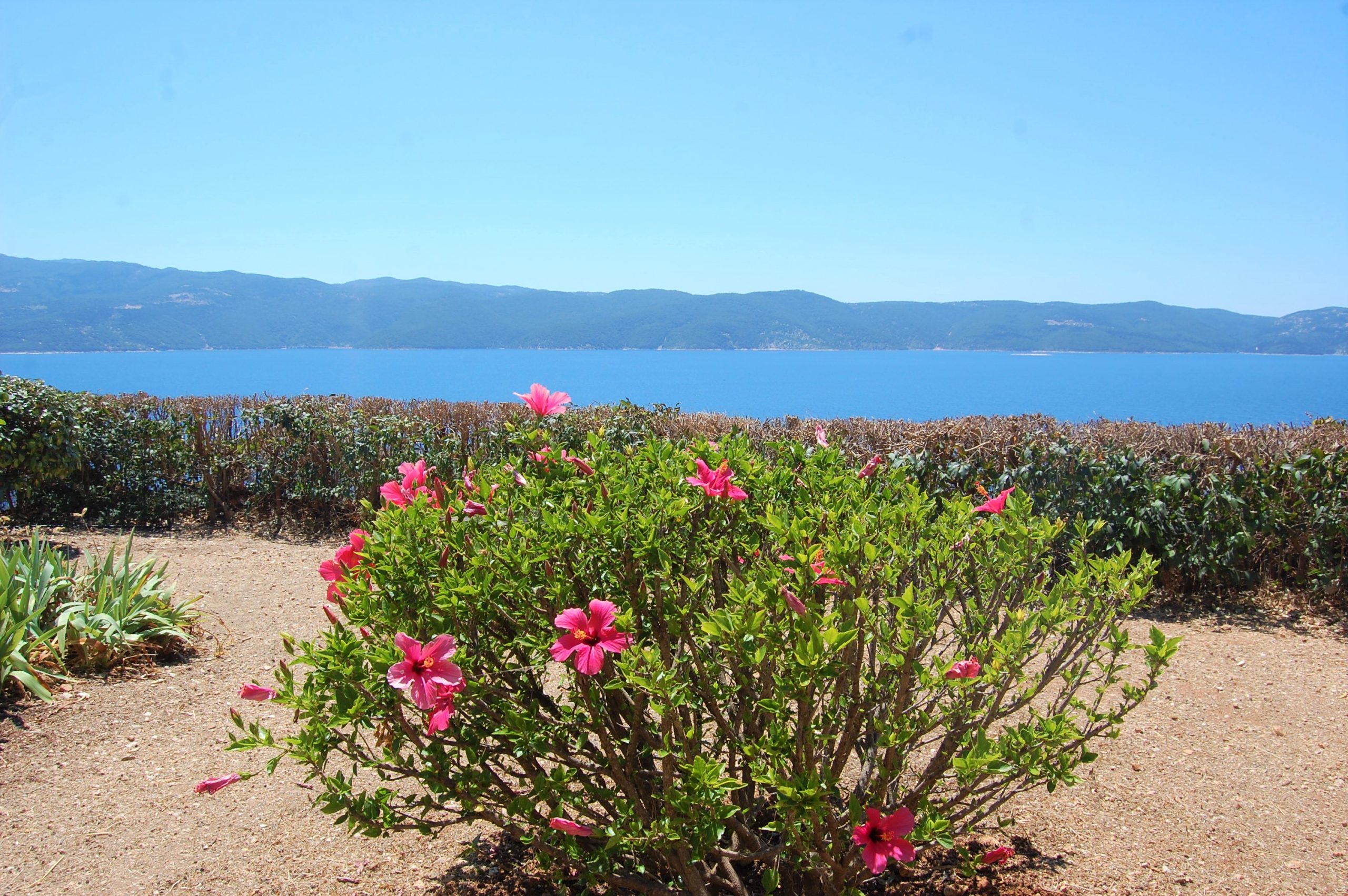 Outdoor area of property for sale on Ithaca Greece, Stavros