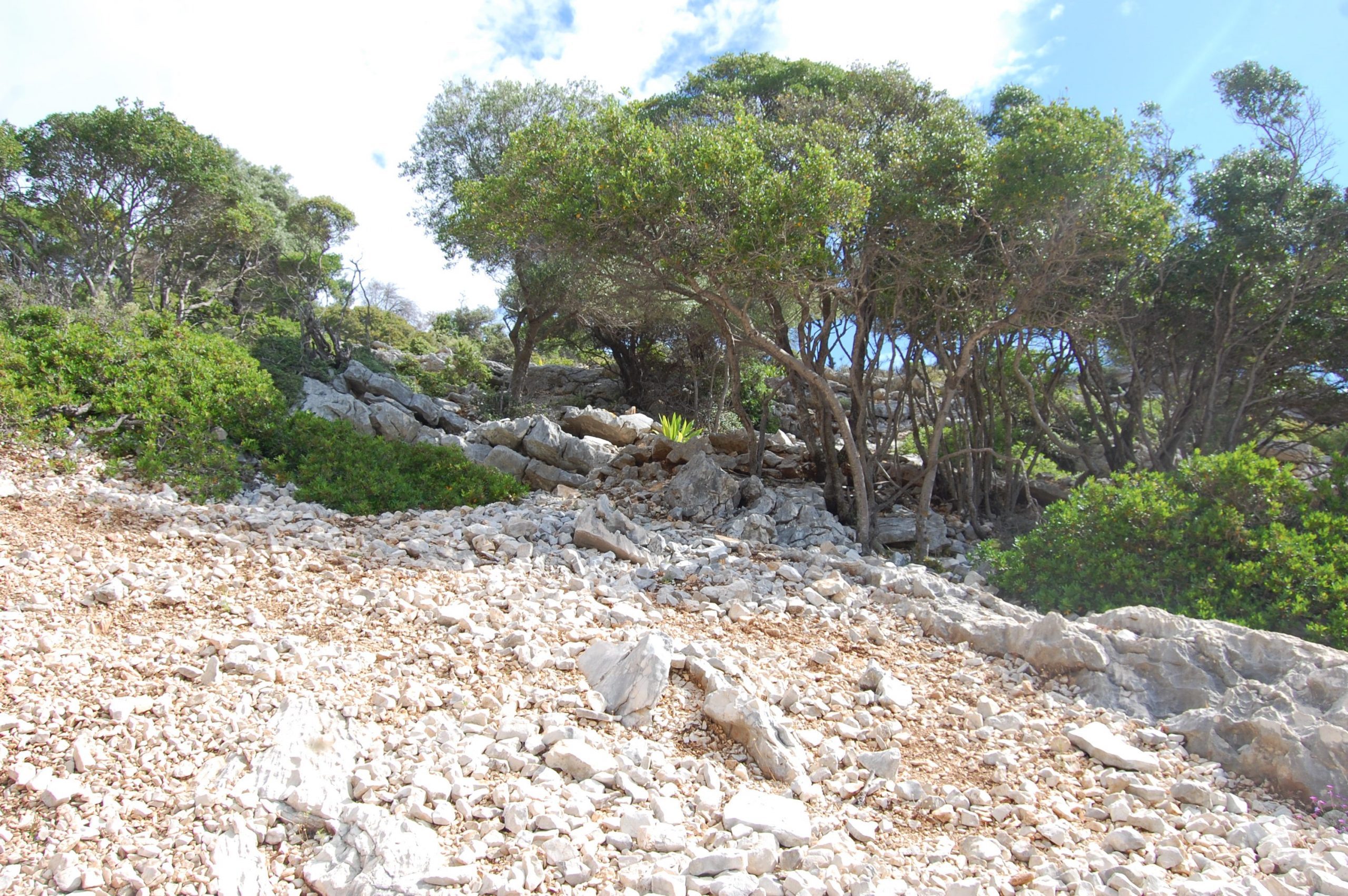Terrain of land for sale on Ithaca Greece, Meganisi