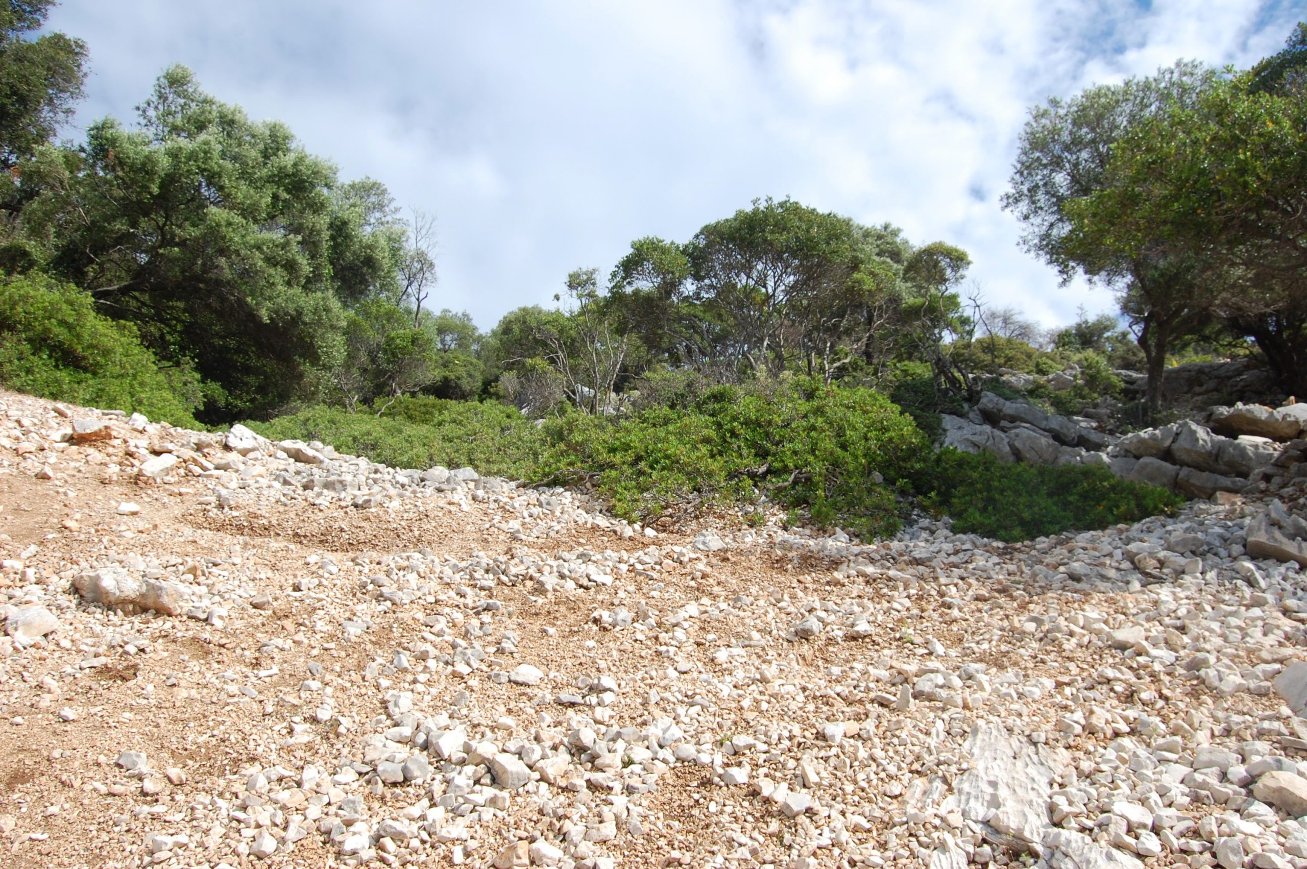 Terrain of land for sale on Ithaca Greece, Meganisi
