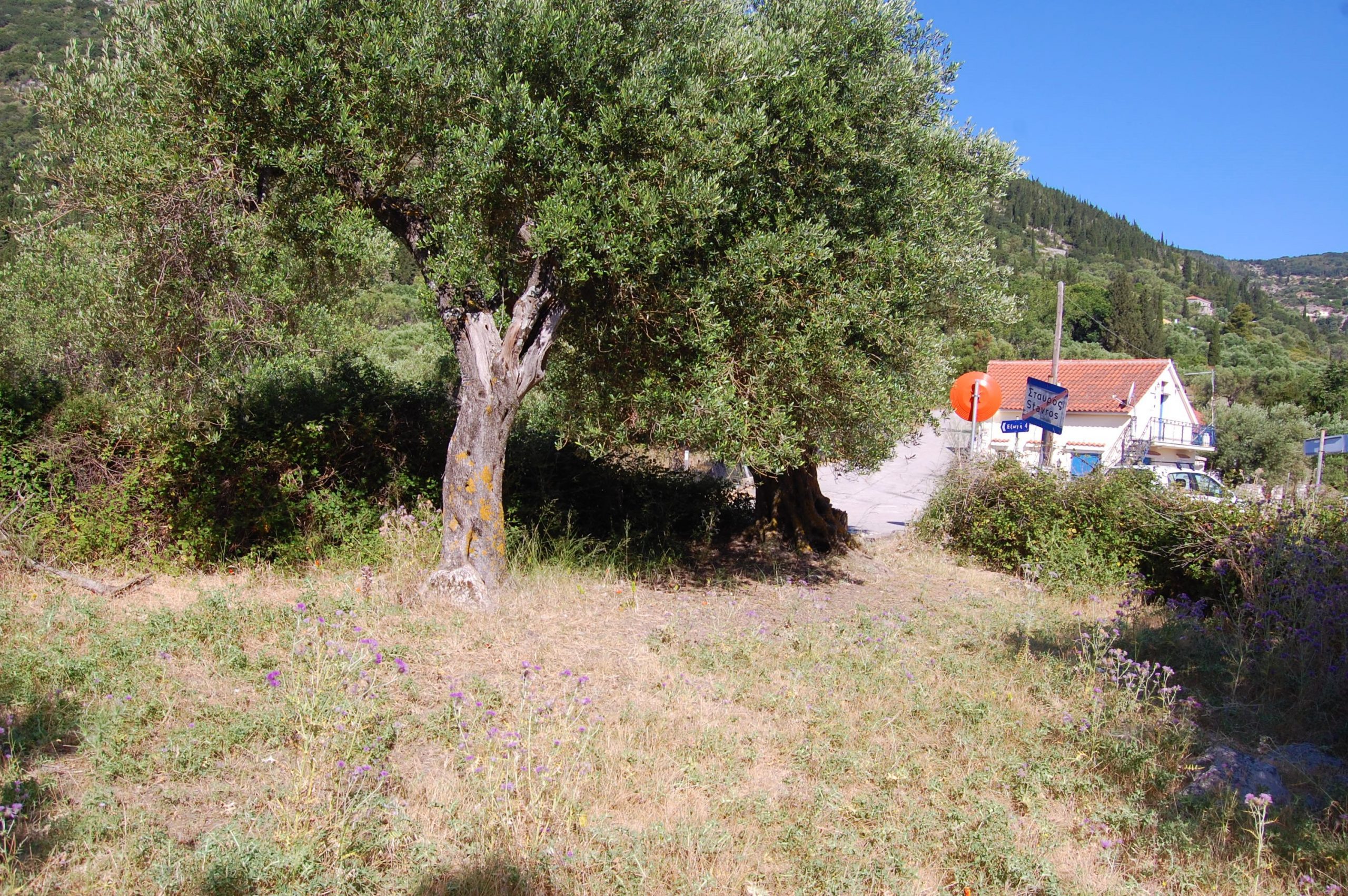 Landscape and terrain of land for sale on Ithaca Greece, Pilikata