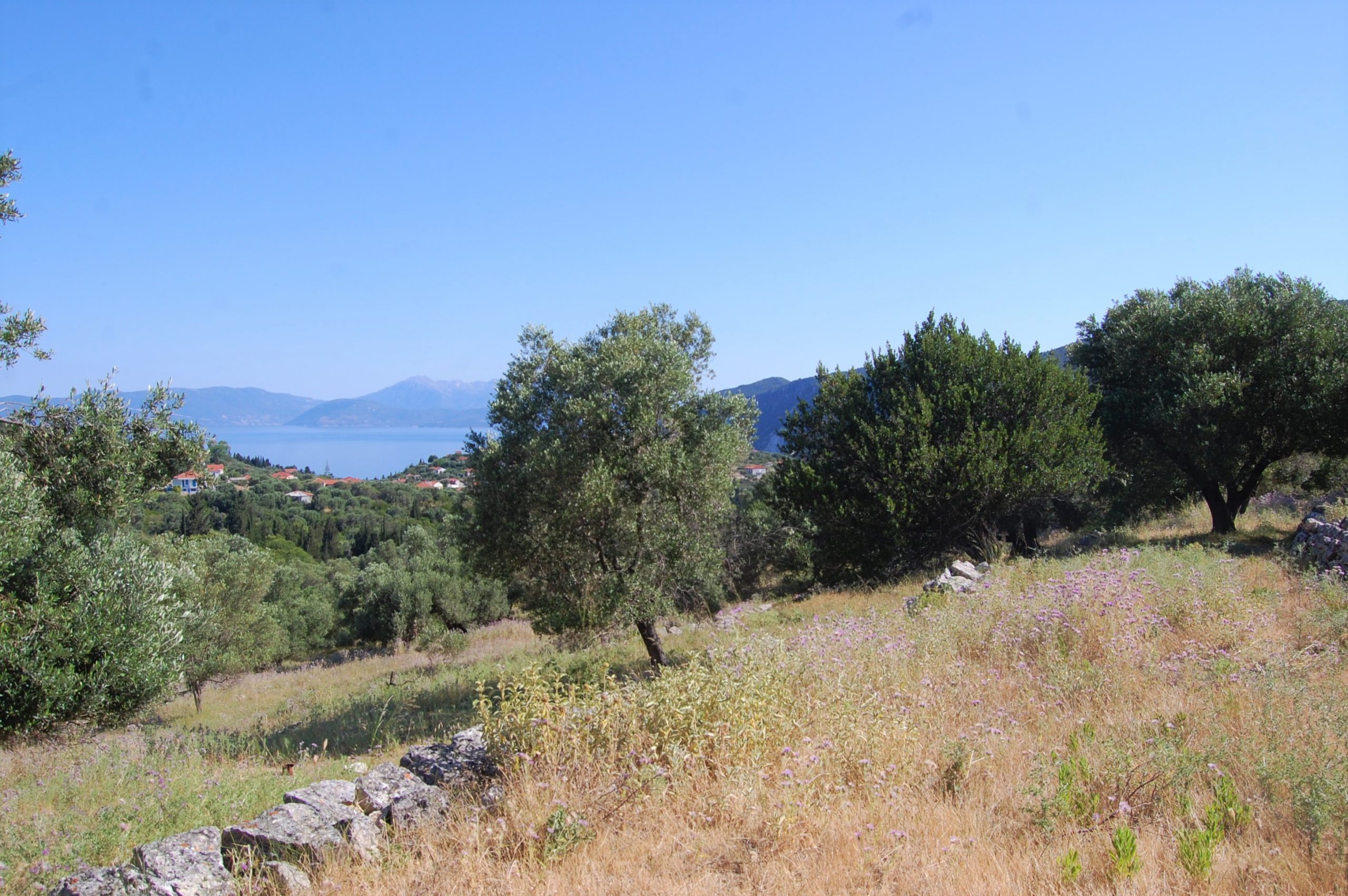 Landscape and terrain of land for sale on Ithaca Greece, Pilikata