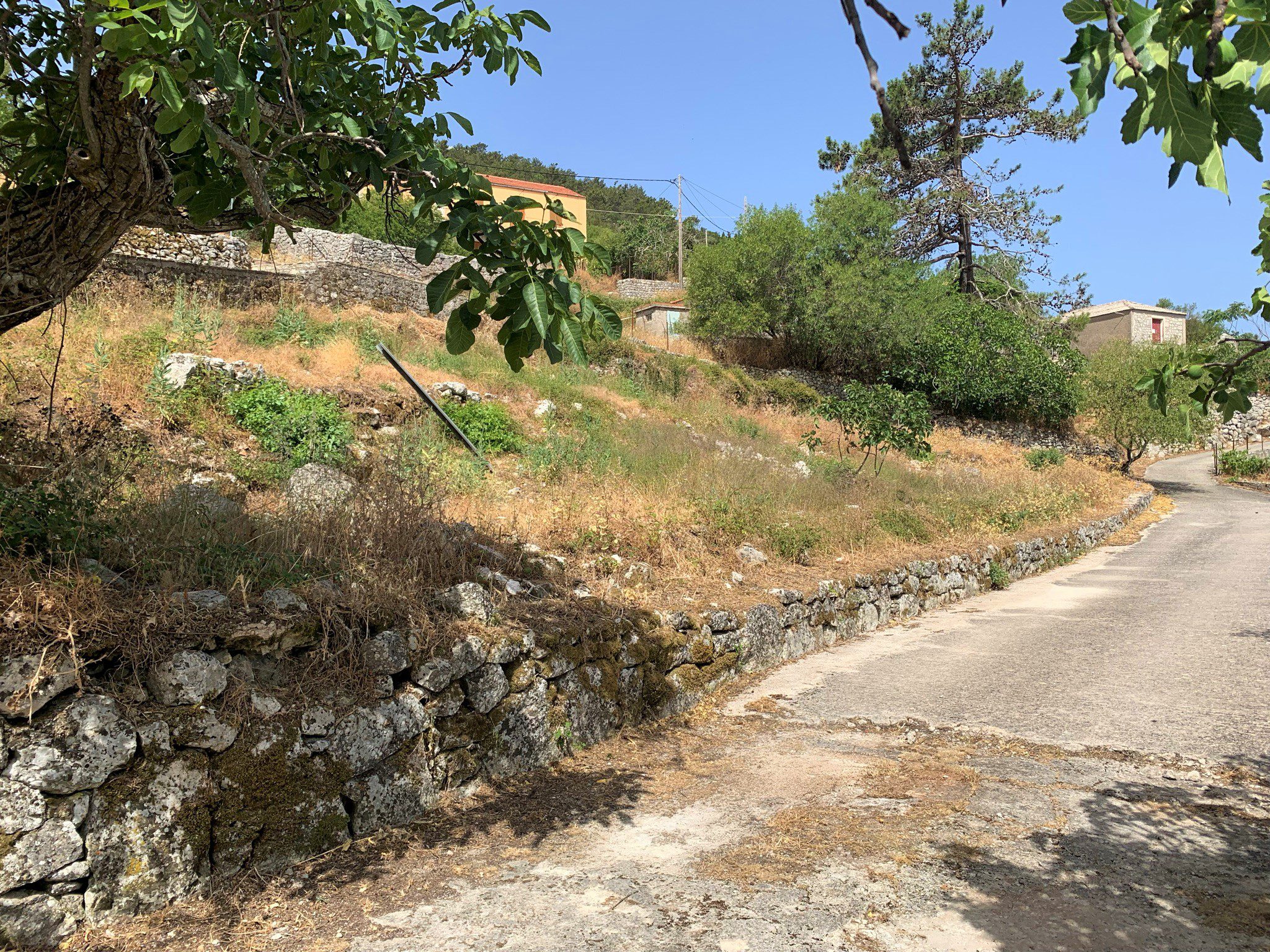 Road access to land for sale Ithaca Greece,Anoghi