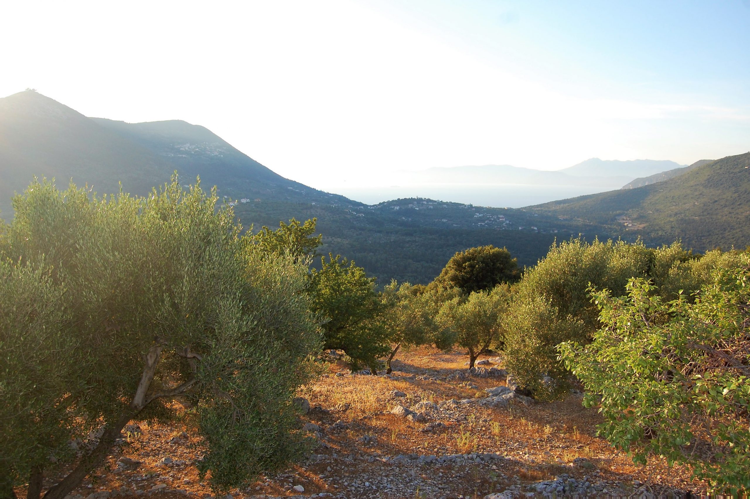 Landscape and views from land for sale on Ithaca Greece, Stavros