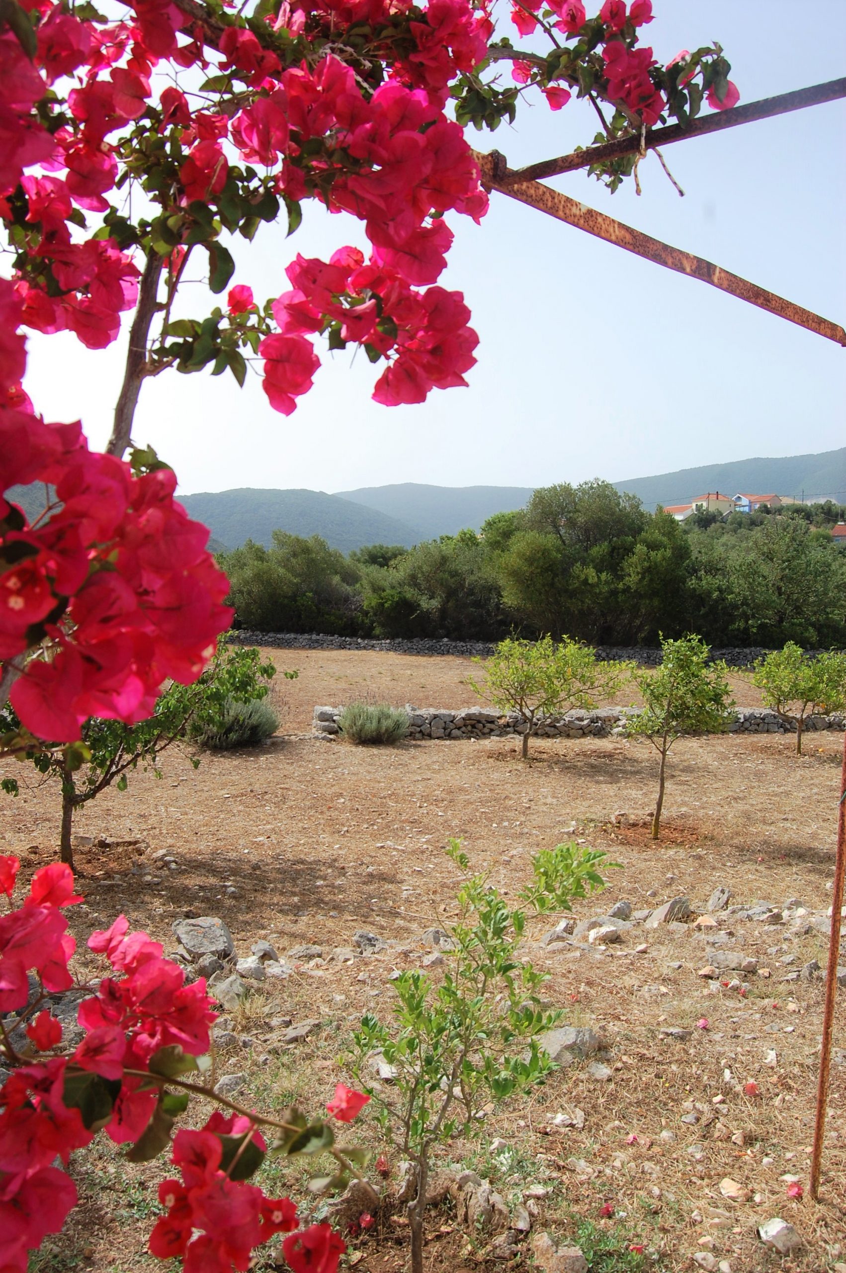 Garden area of holiday house for Rent on Ithaca Greece, Afales