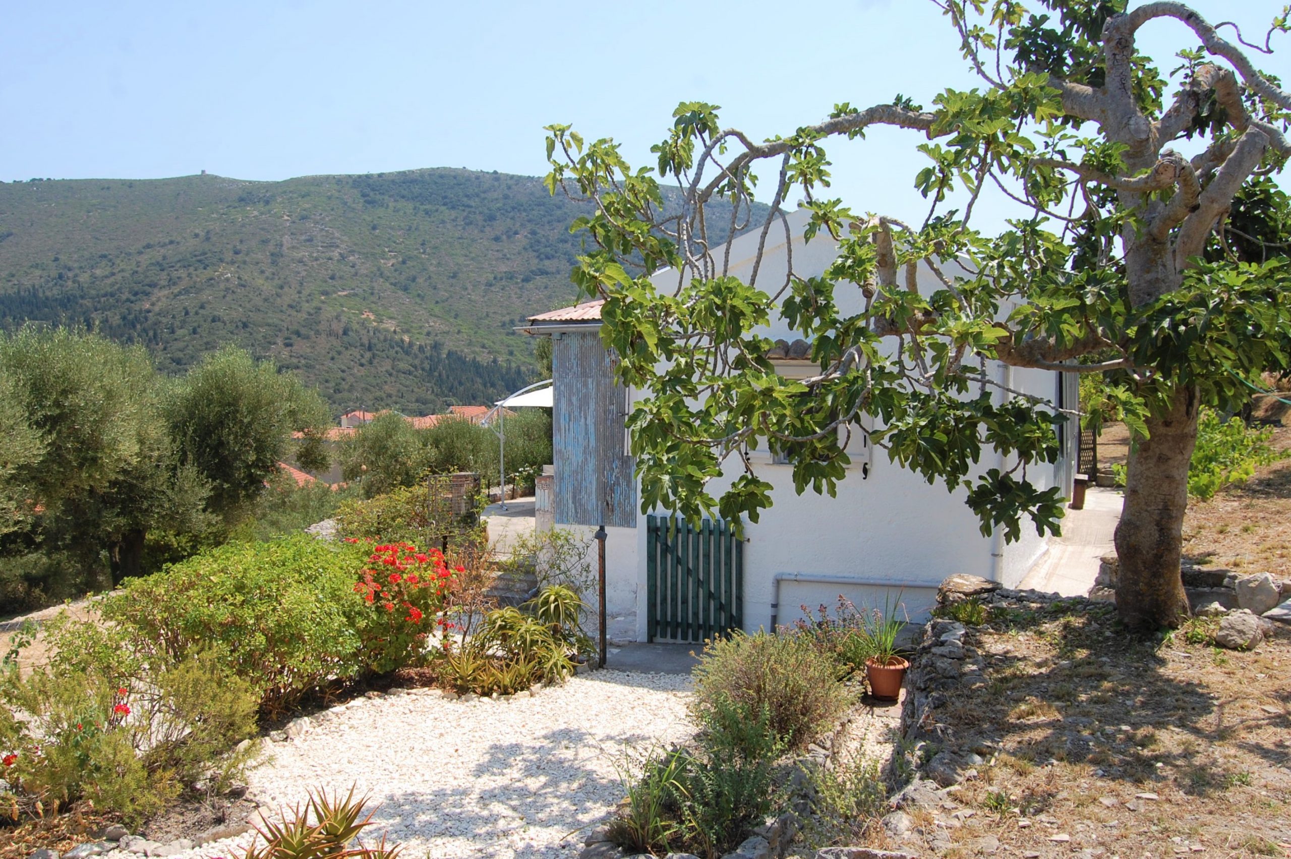 Terrace and garden of house for sale in Ithaca Greece,Ag Saranta
