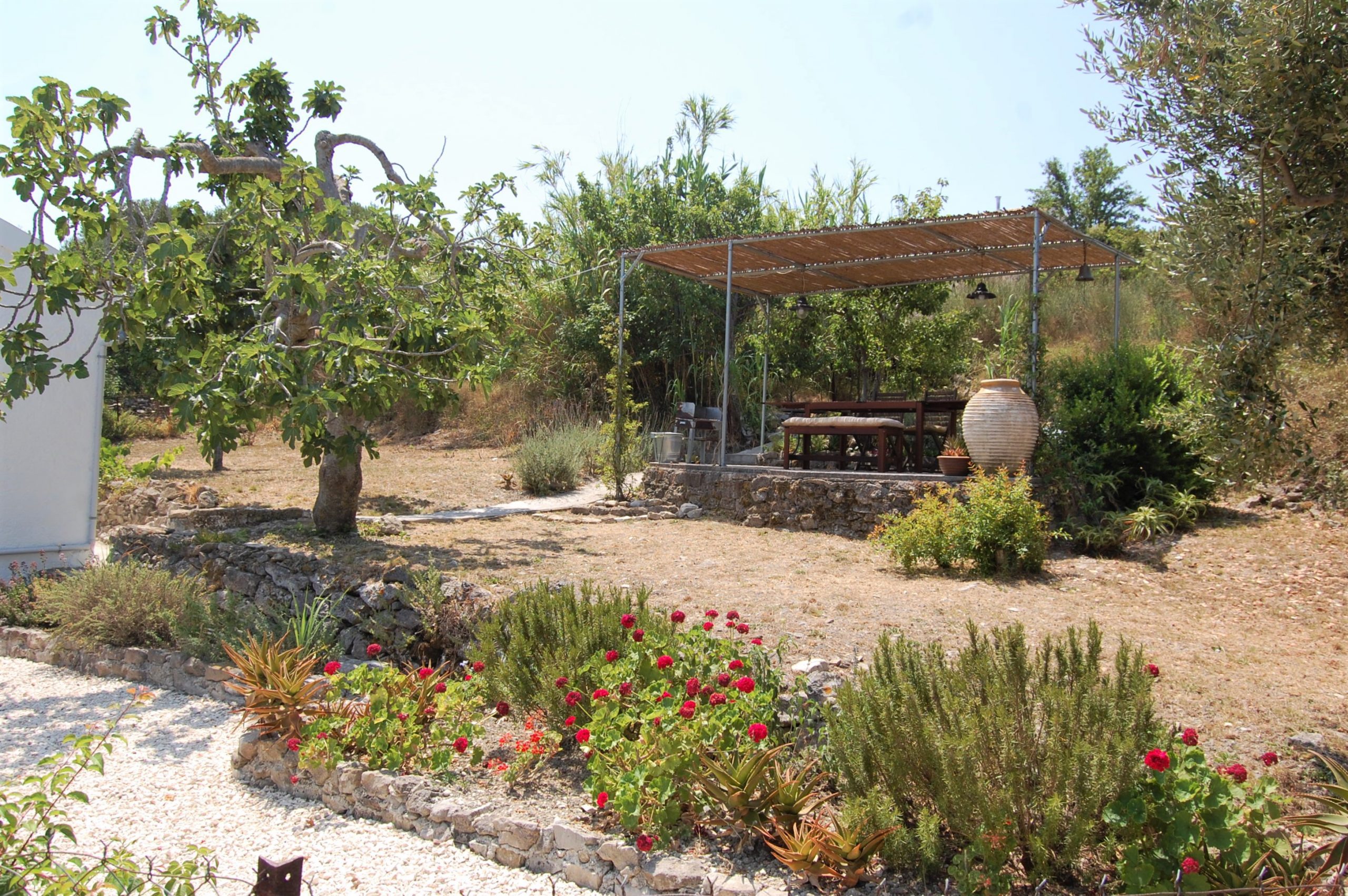 Terrace and garden of house for sale in Ithaca Greece,Ag Saranta