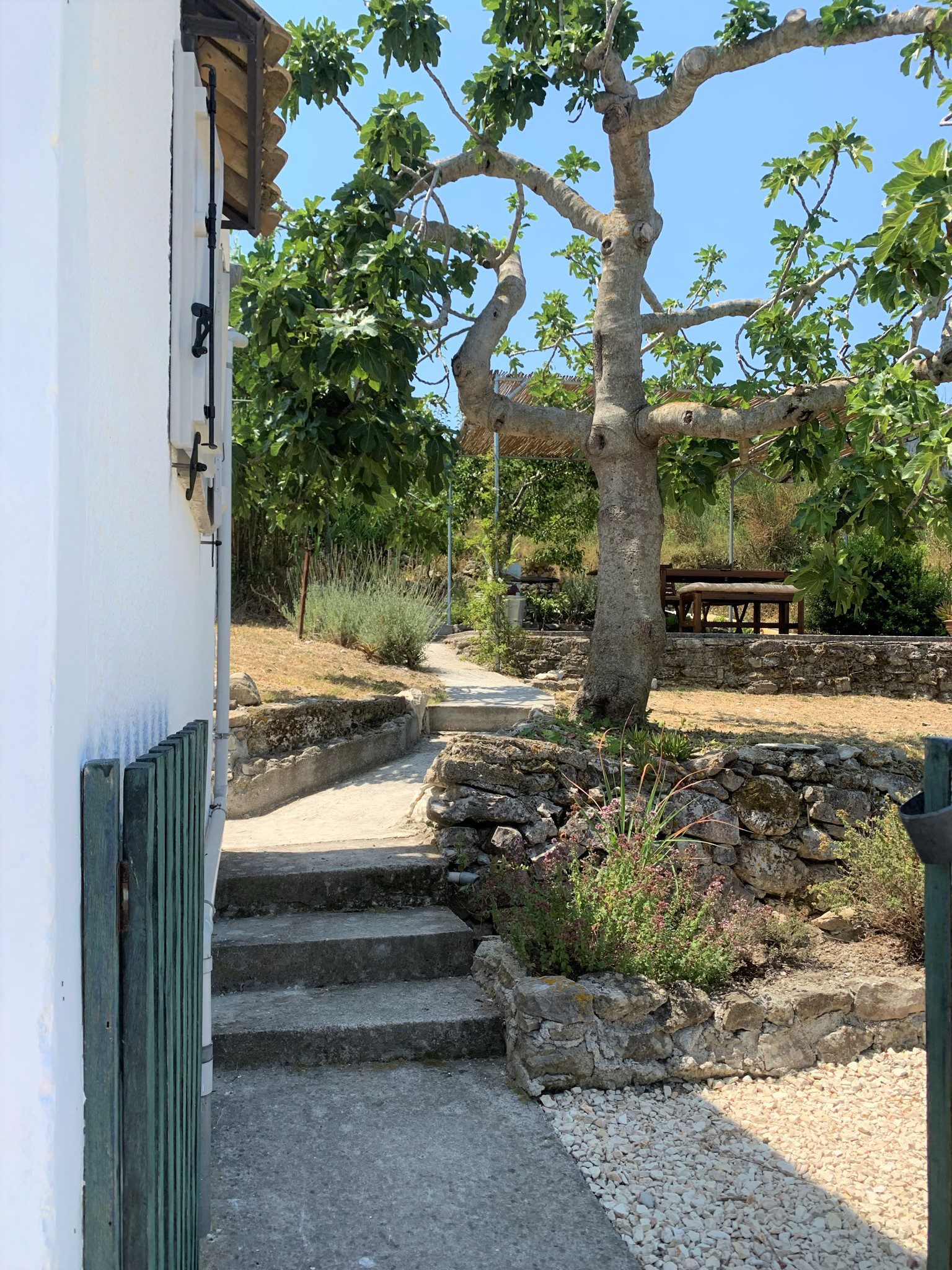 Garden and outdoor space of house for sale in Ithaca Greece,Ag Saranta