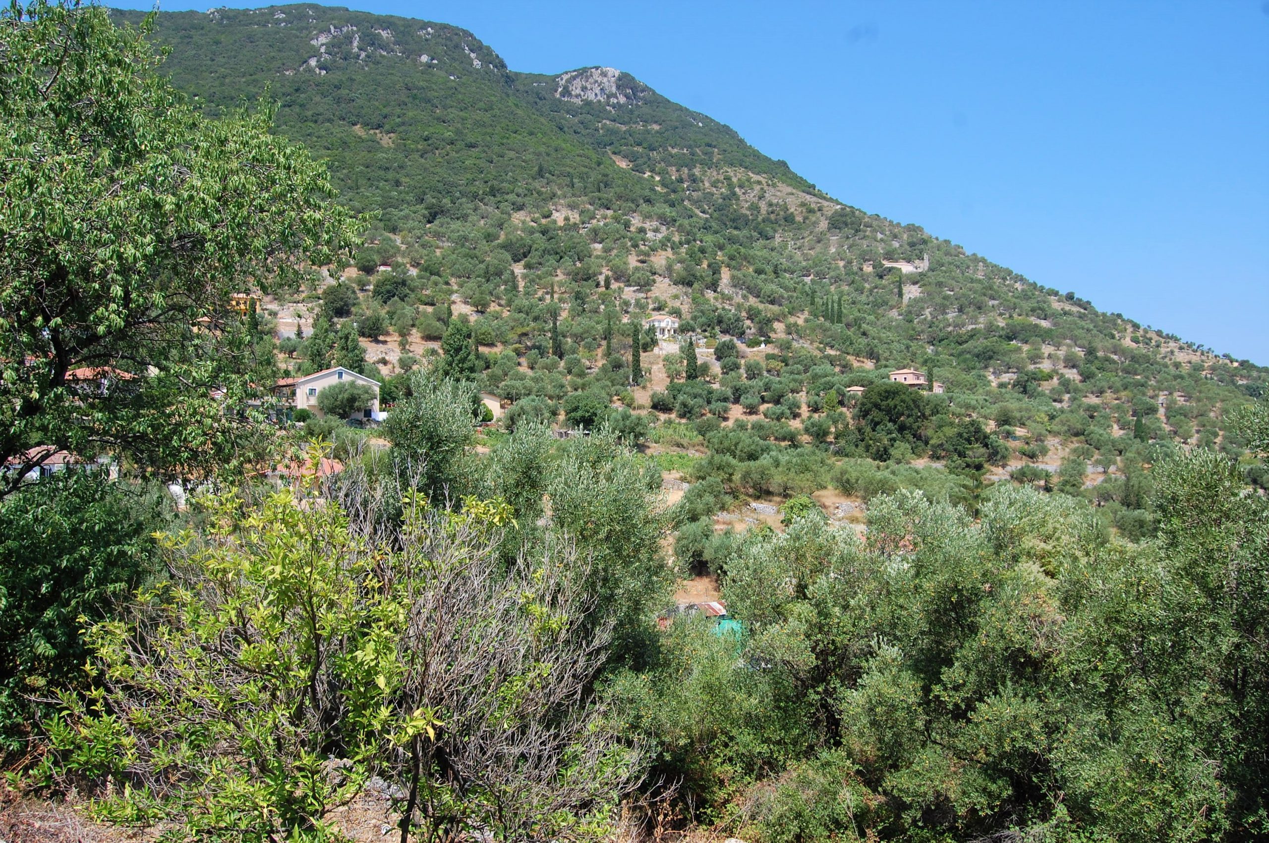 View from house for sale in Ithaca Greece, Perachori