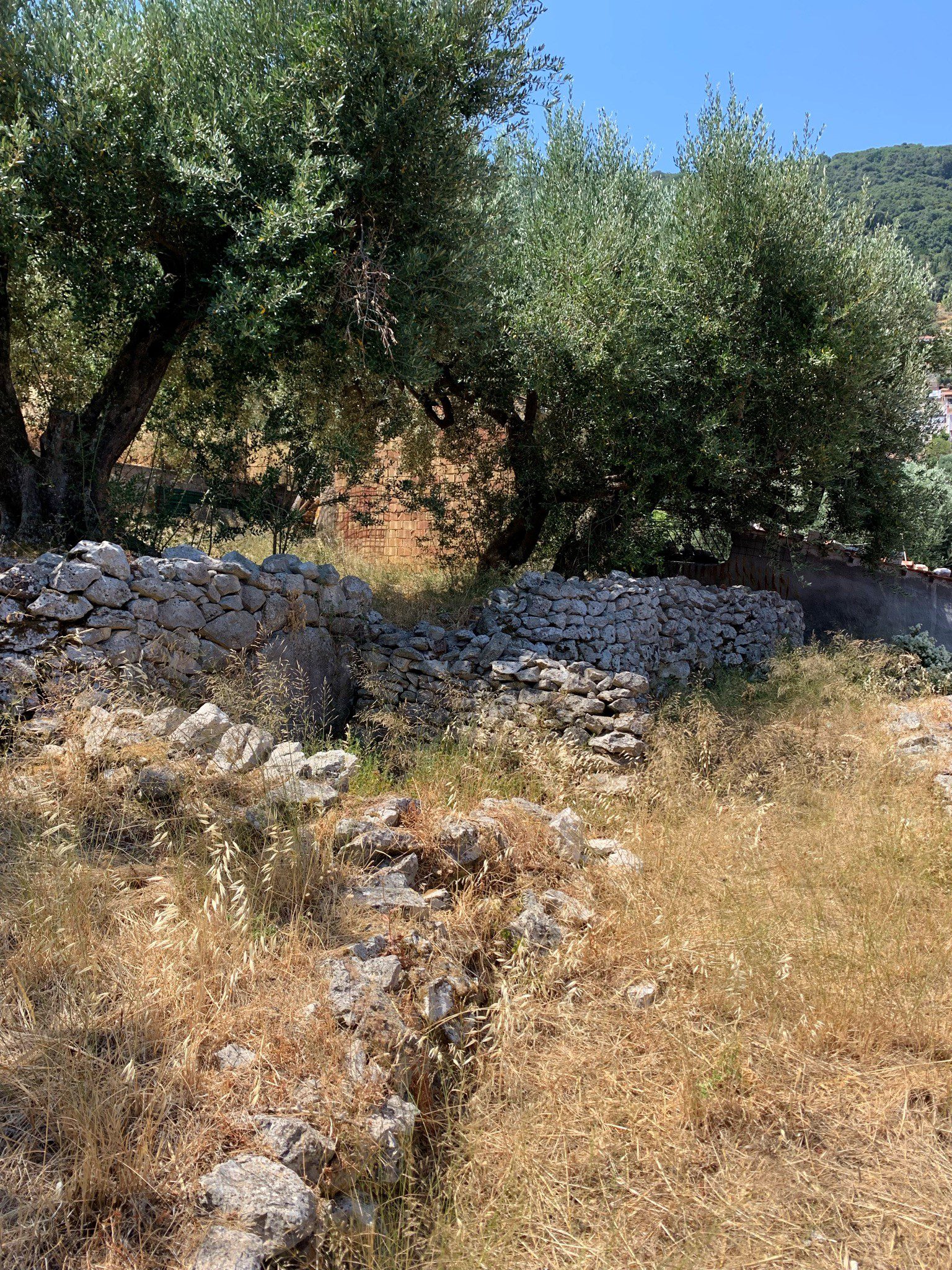 Stone wall around the house for sale in Ithaca Greece, Perachori