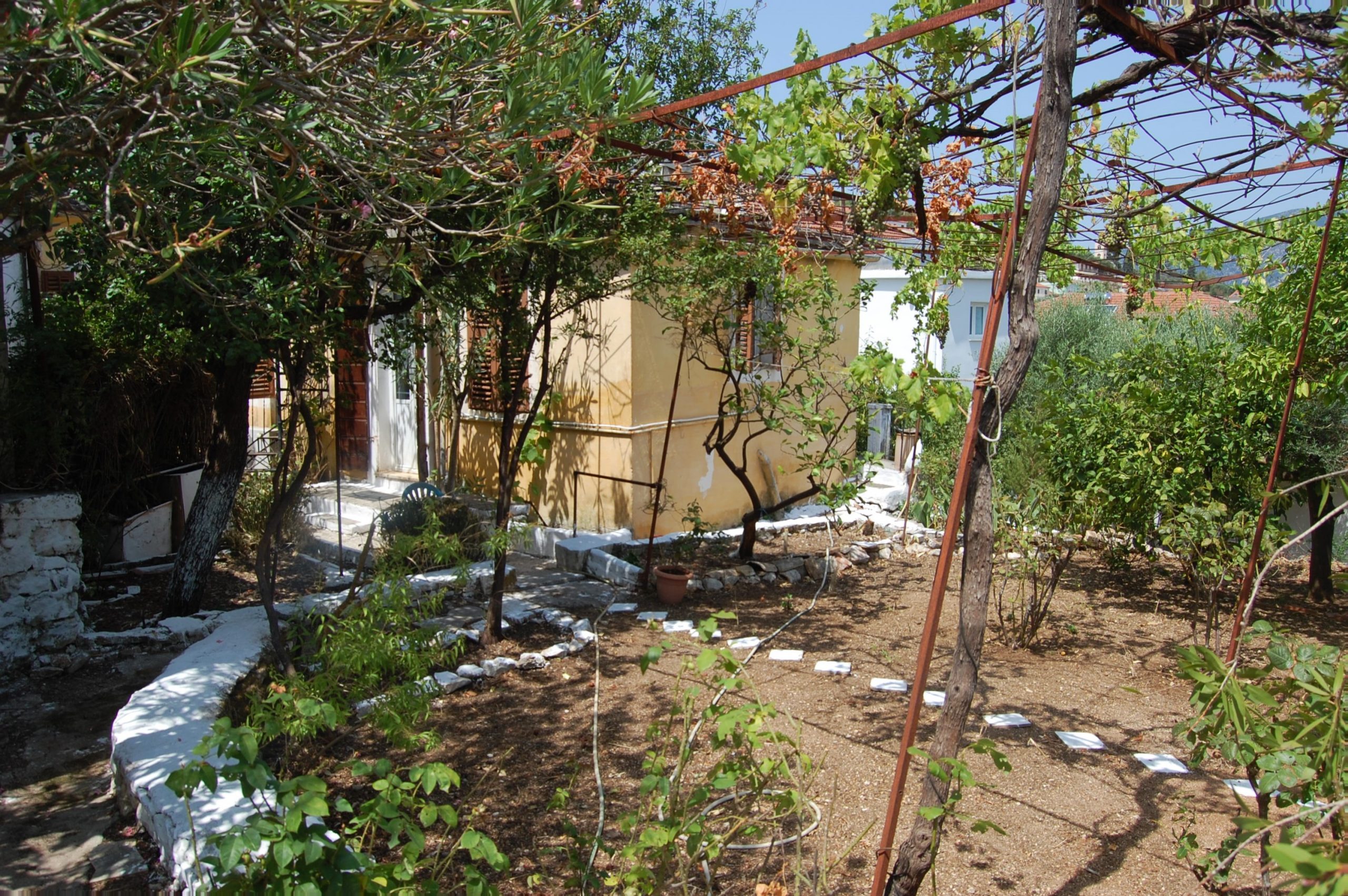 Garden of house for sale in Ithaca Greece, Vath
