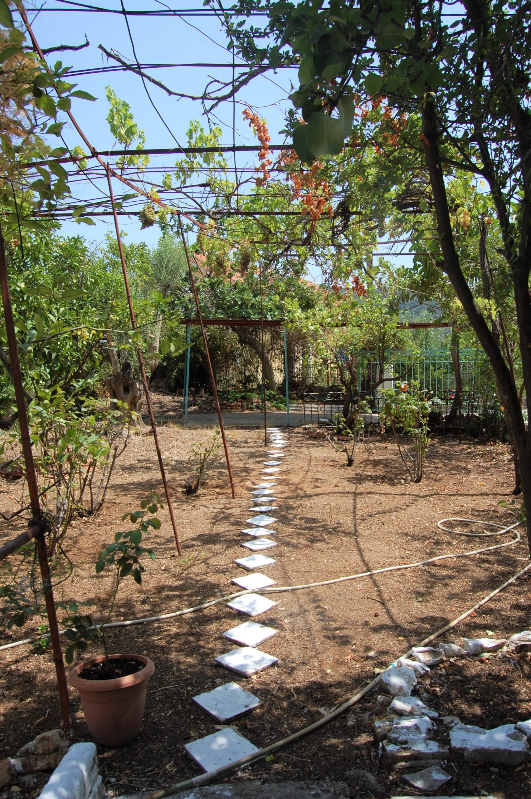 Κήπος προς πώληση στην Ιθάκα, Βαθύ