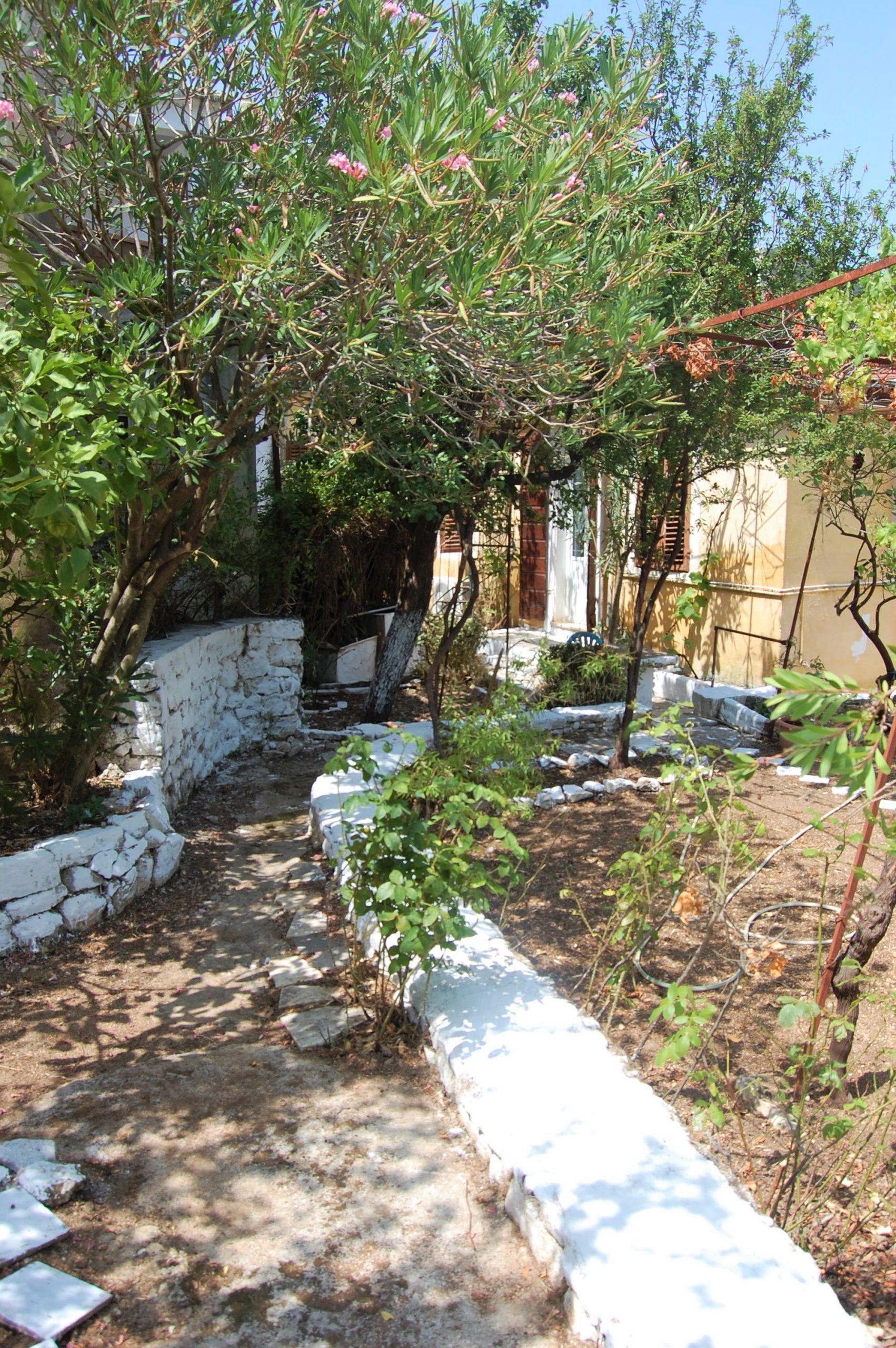 Κήπος προς πώληση στην Ιθάκα, Βαθύ