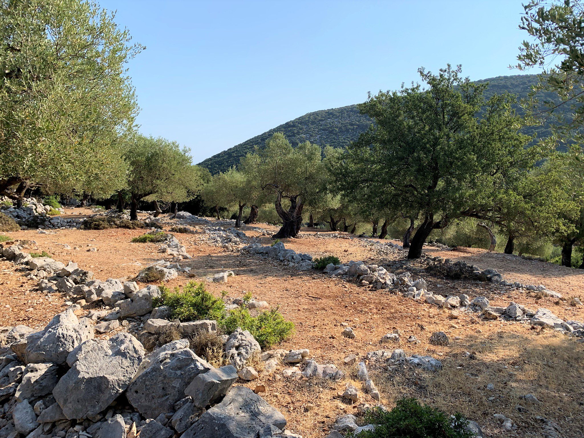 Landscape and terrain of land for sale Ithaca Greece, Stavros